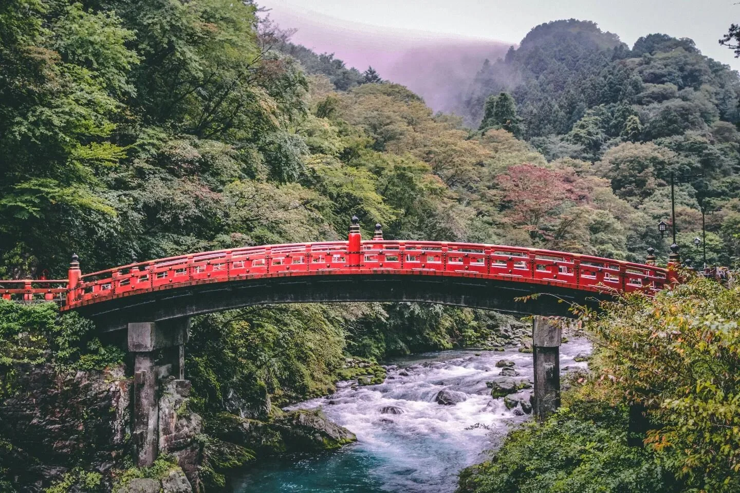 New B L O G: Nikko, Japan
.
| Link in bio |
.
.
.
#womenwhofly #womenwhoexplore #traveljapan #nikko #unesco #canonphotography