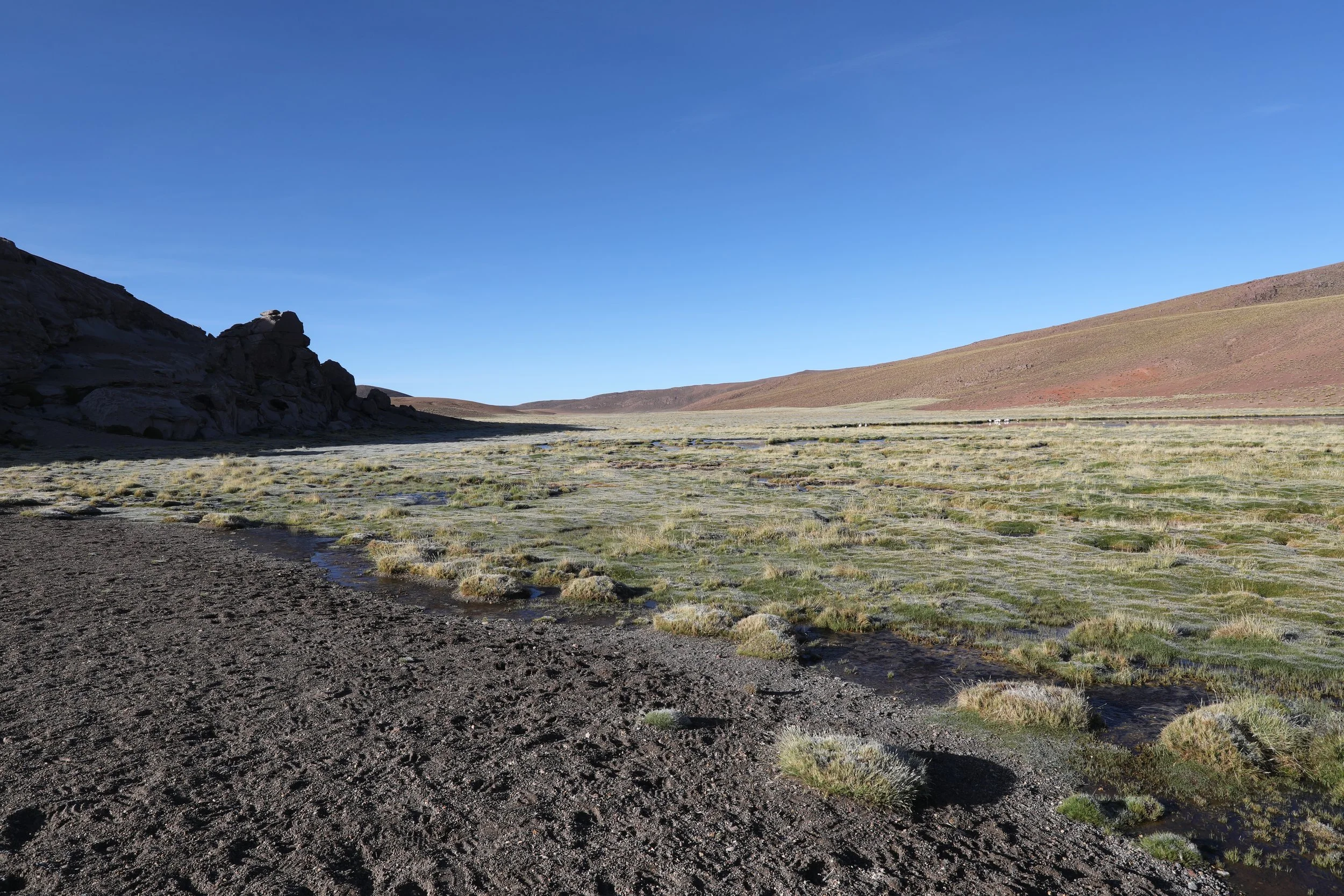 4Y1A0568.JPG