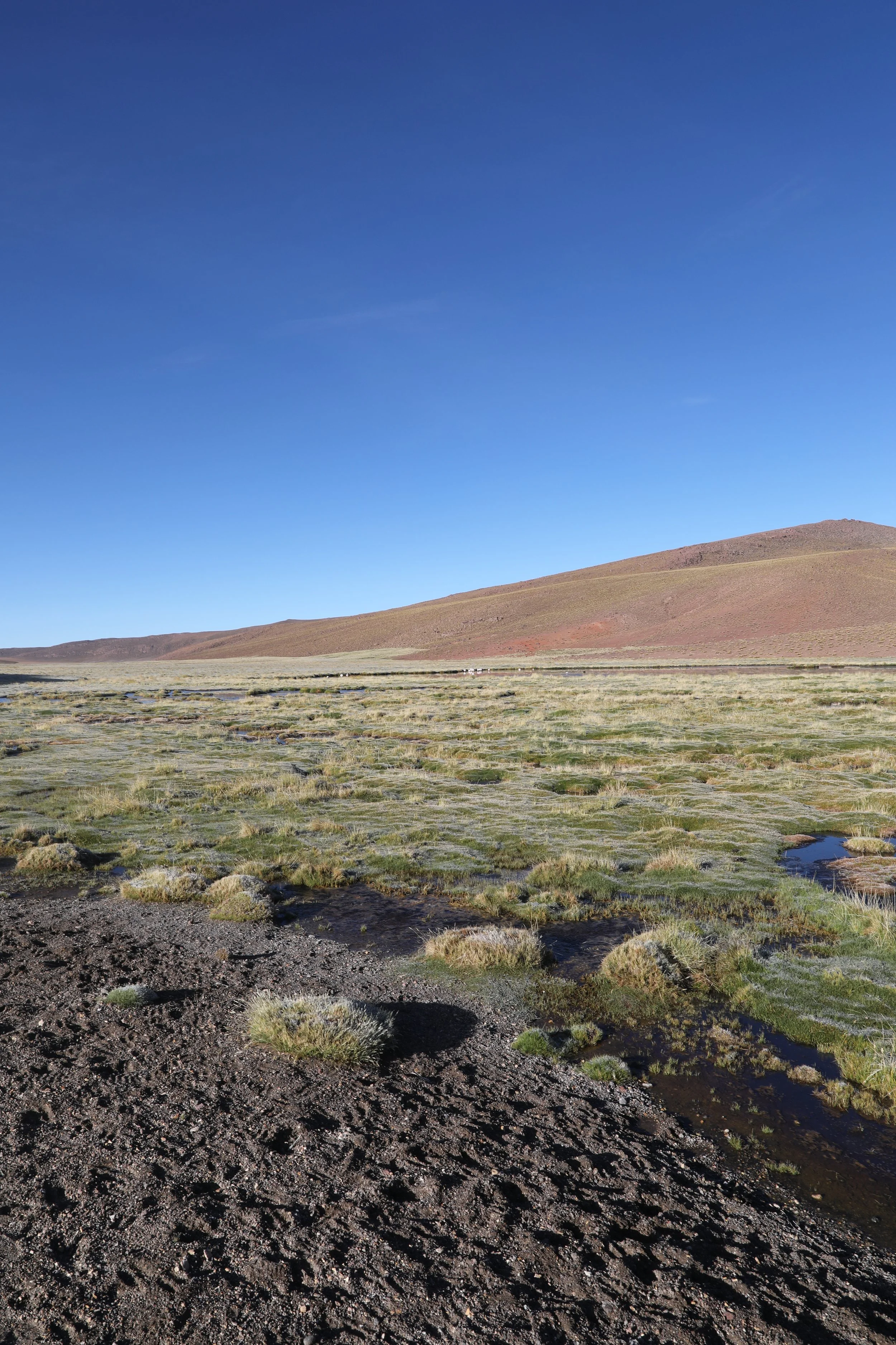 4Y1A0567.JPG