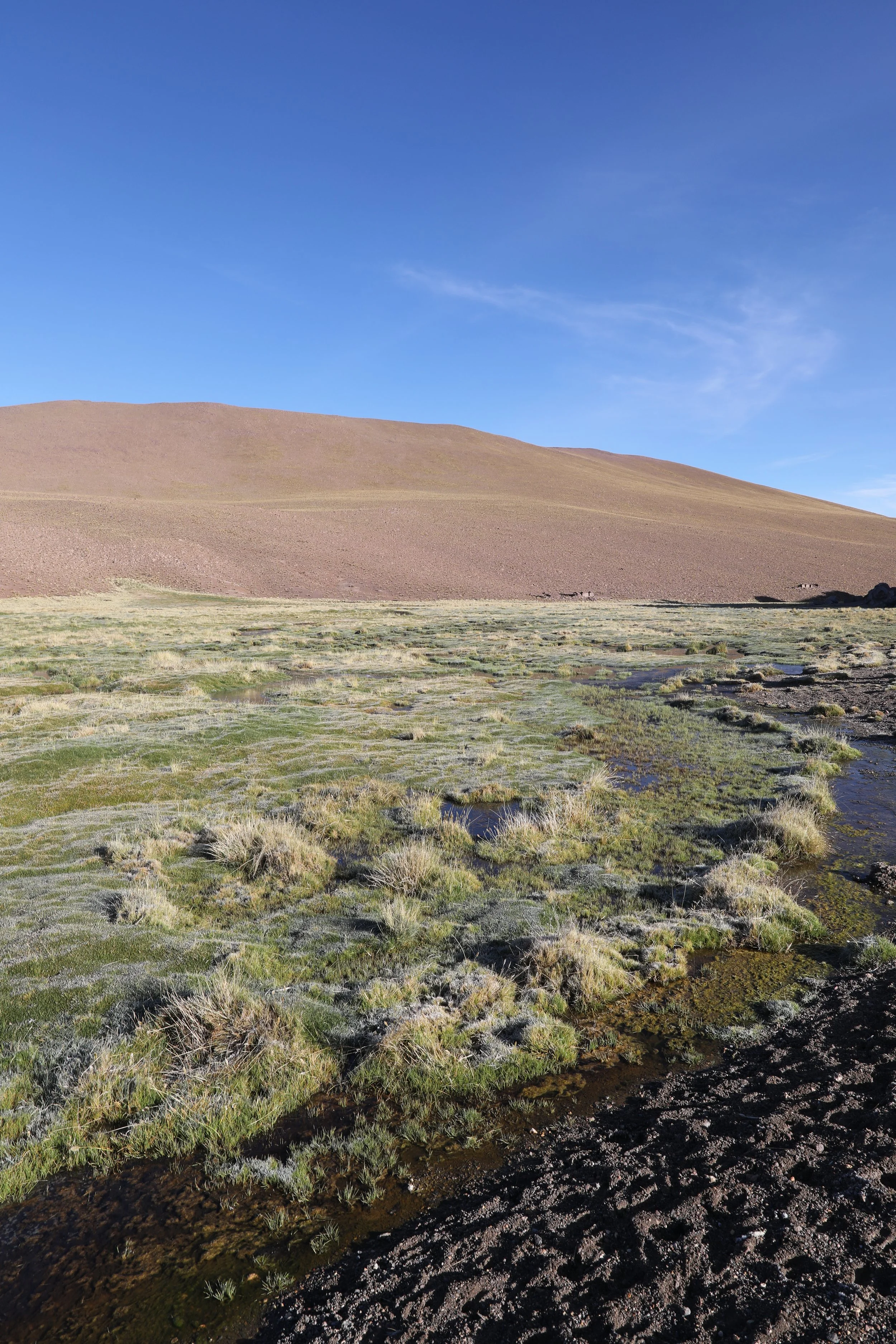 4Y1A0572.JPG