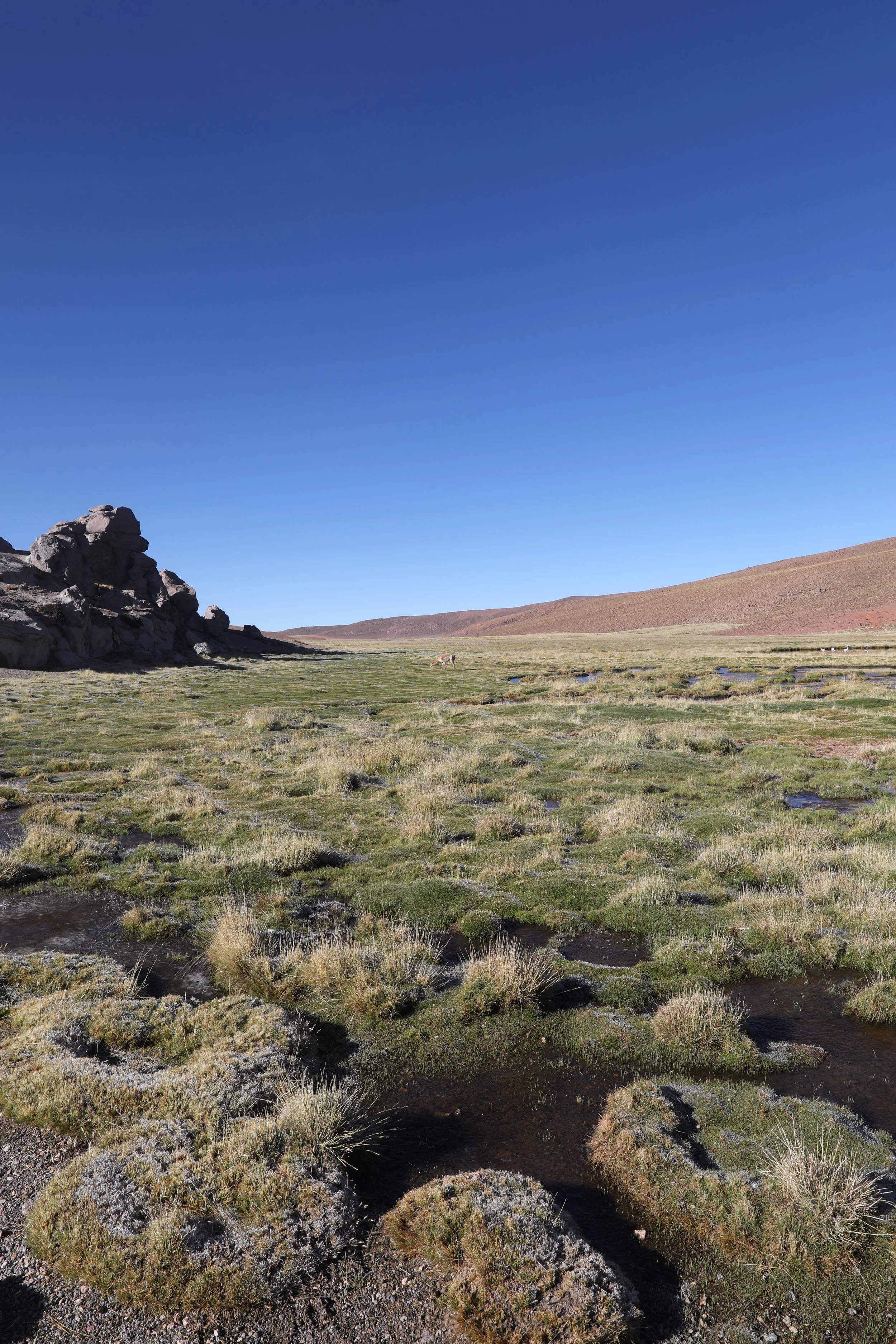 4Y1A0586.JPG