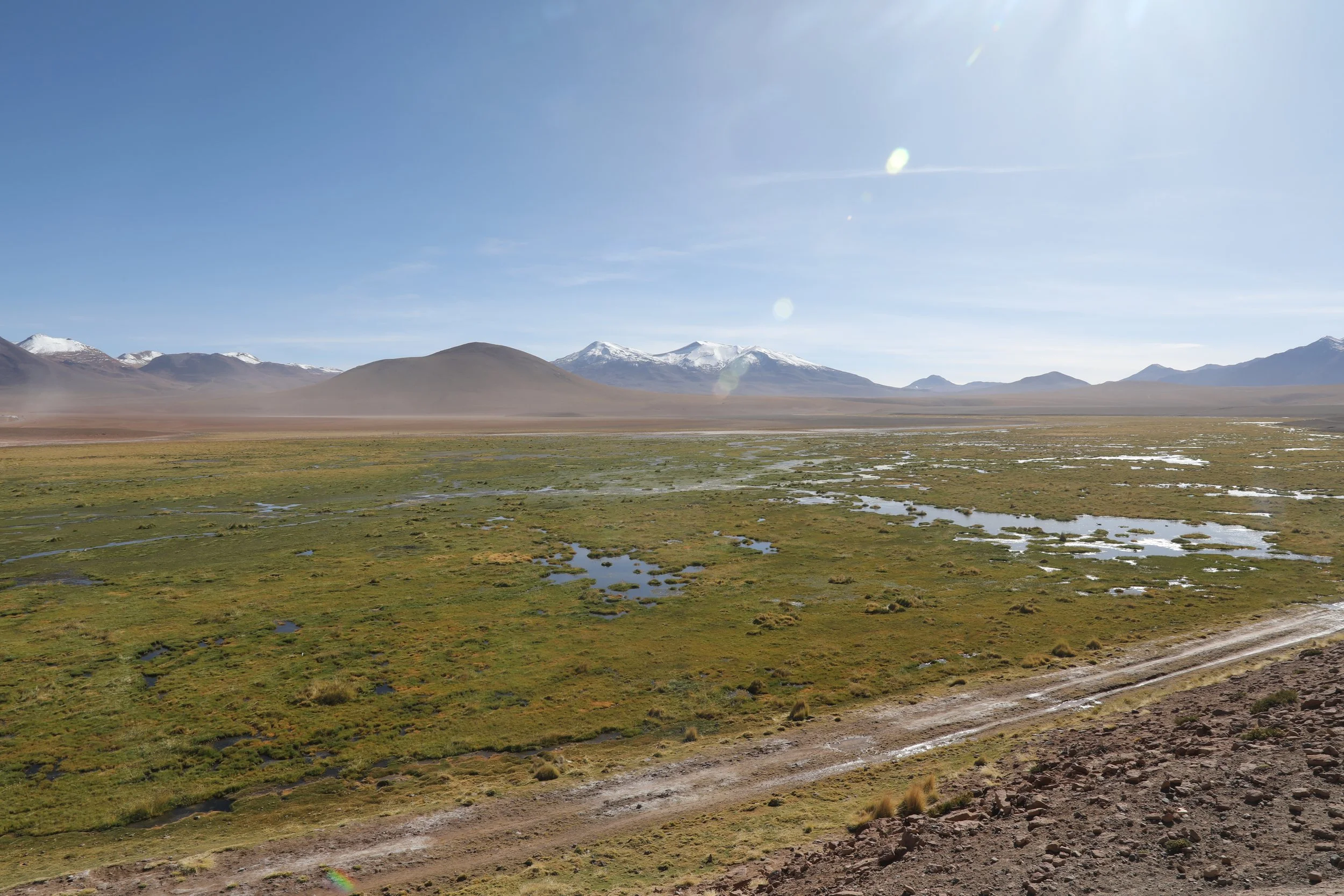 4Y1A0590.JPG