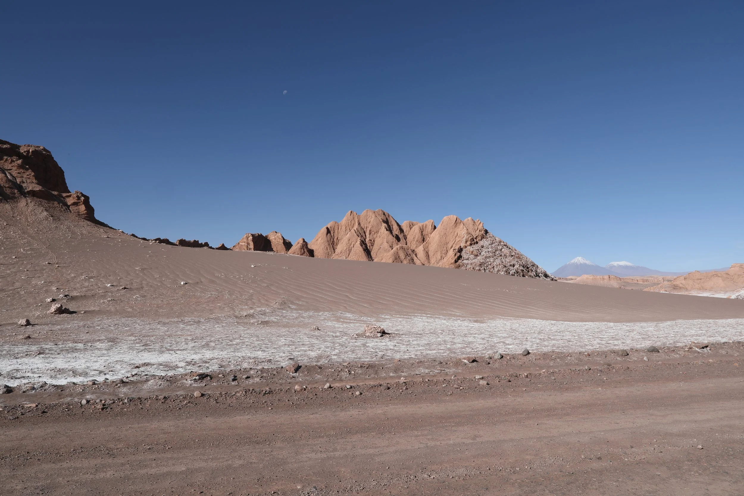 4Y1A0645.JPG