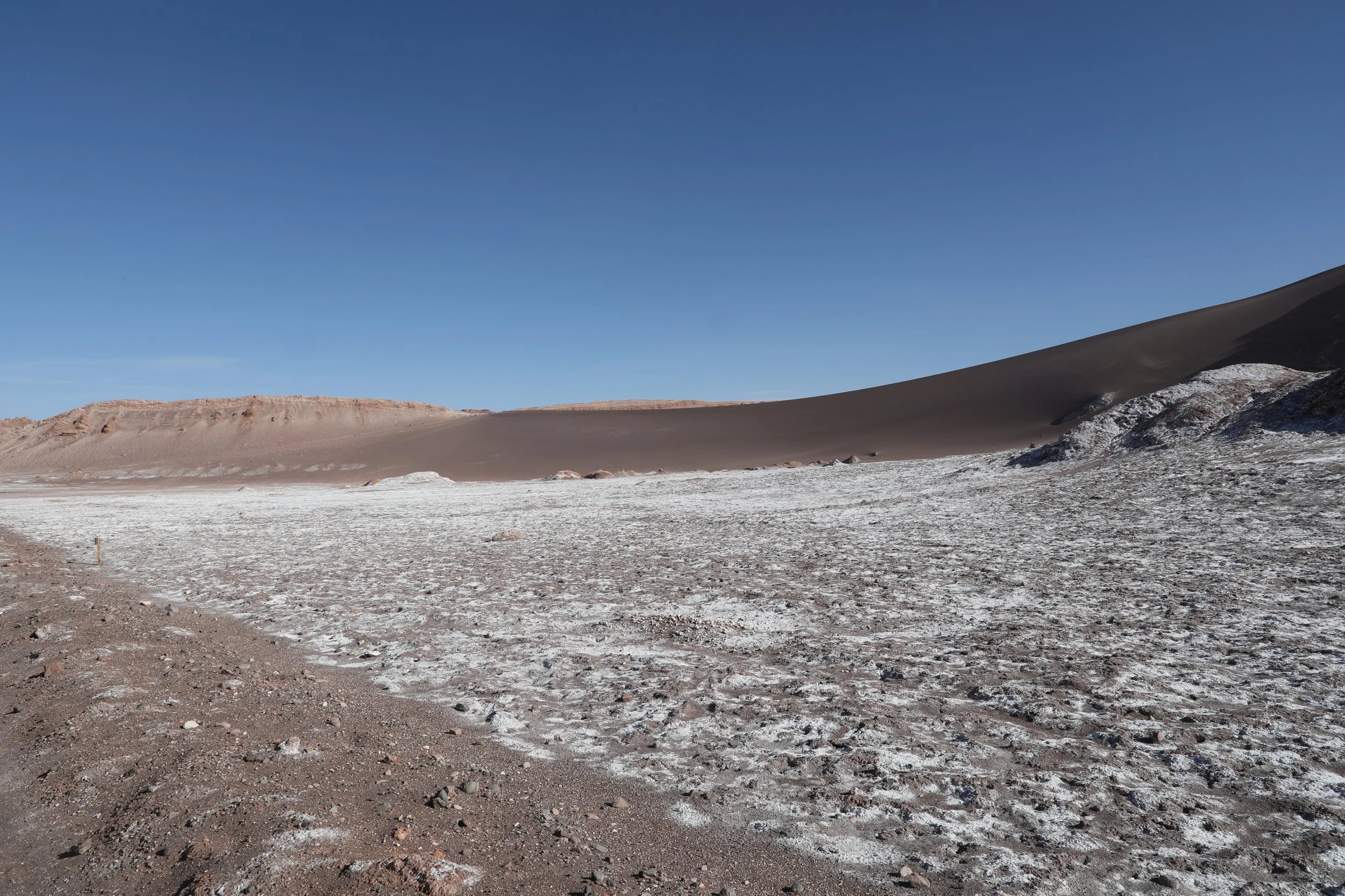 4Y1A0647.JPG