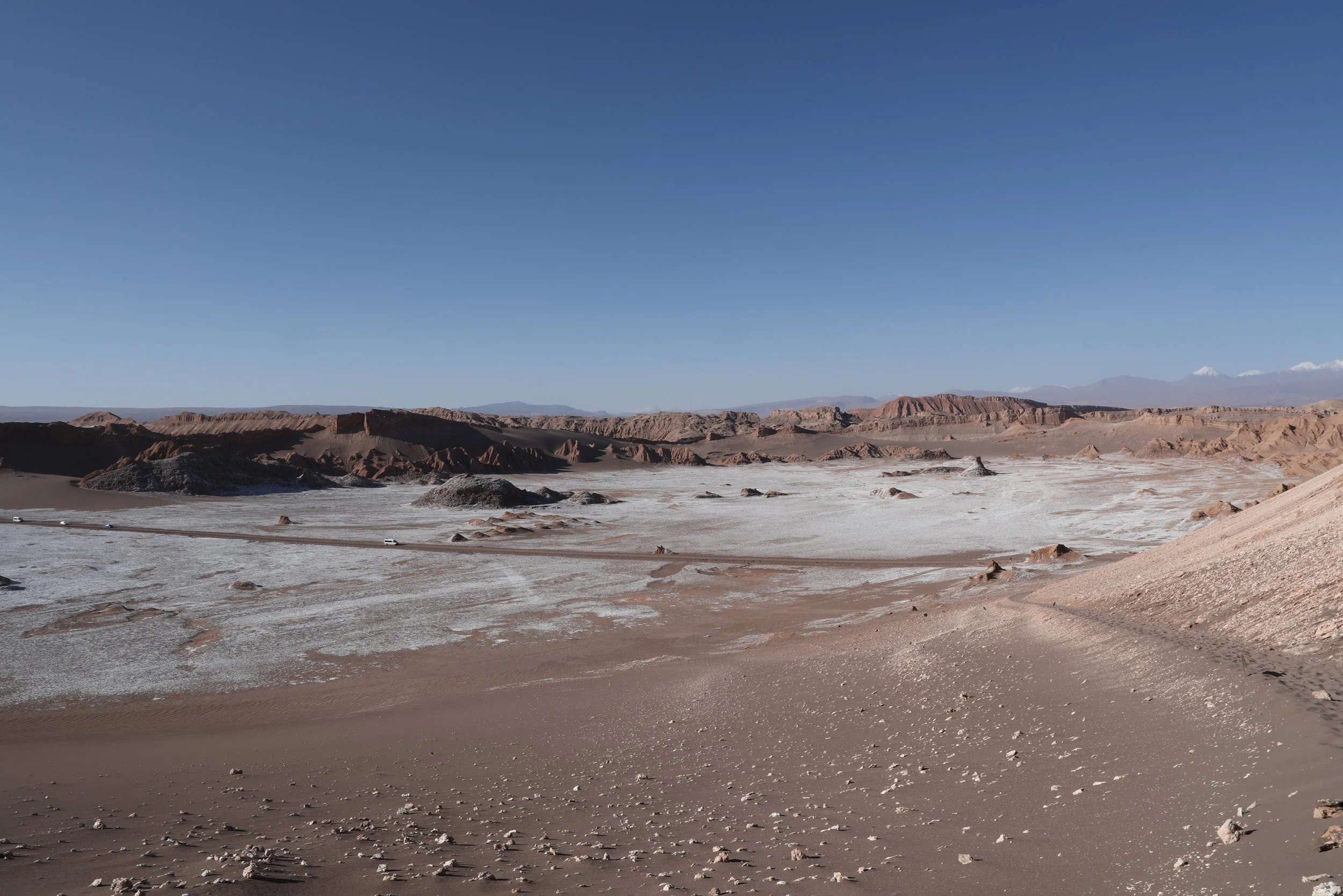 4Y1A0653.JPG
