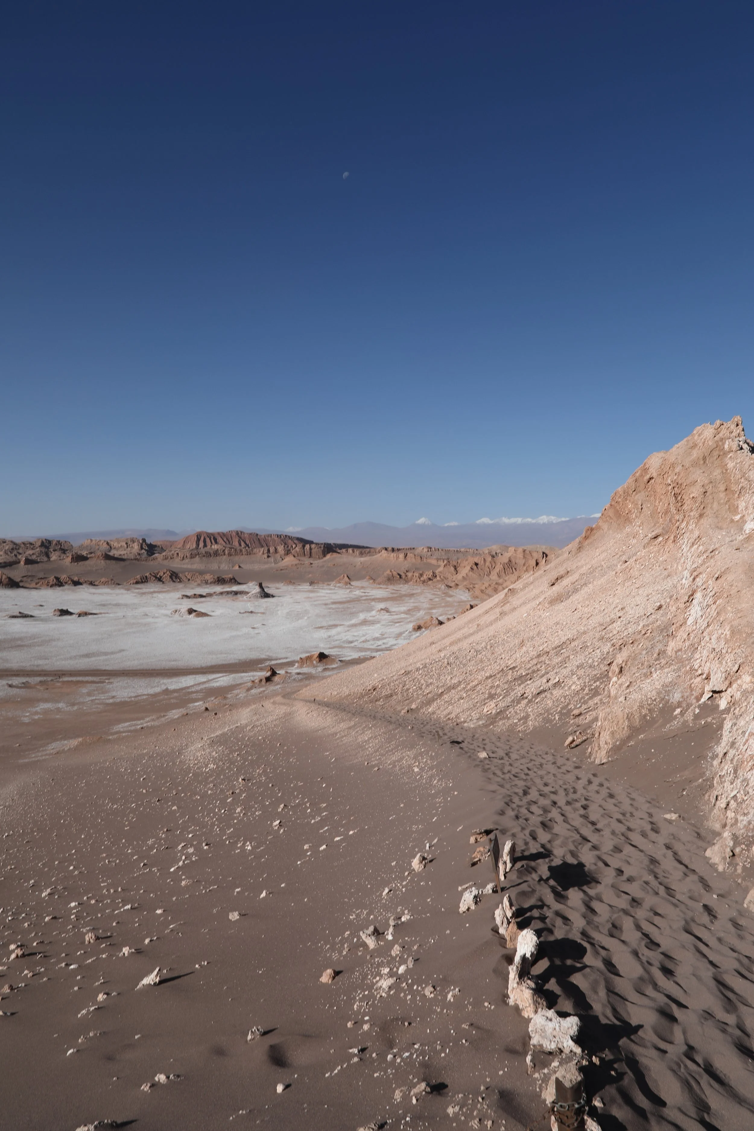 4Y1A0654.JPG