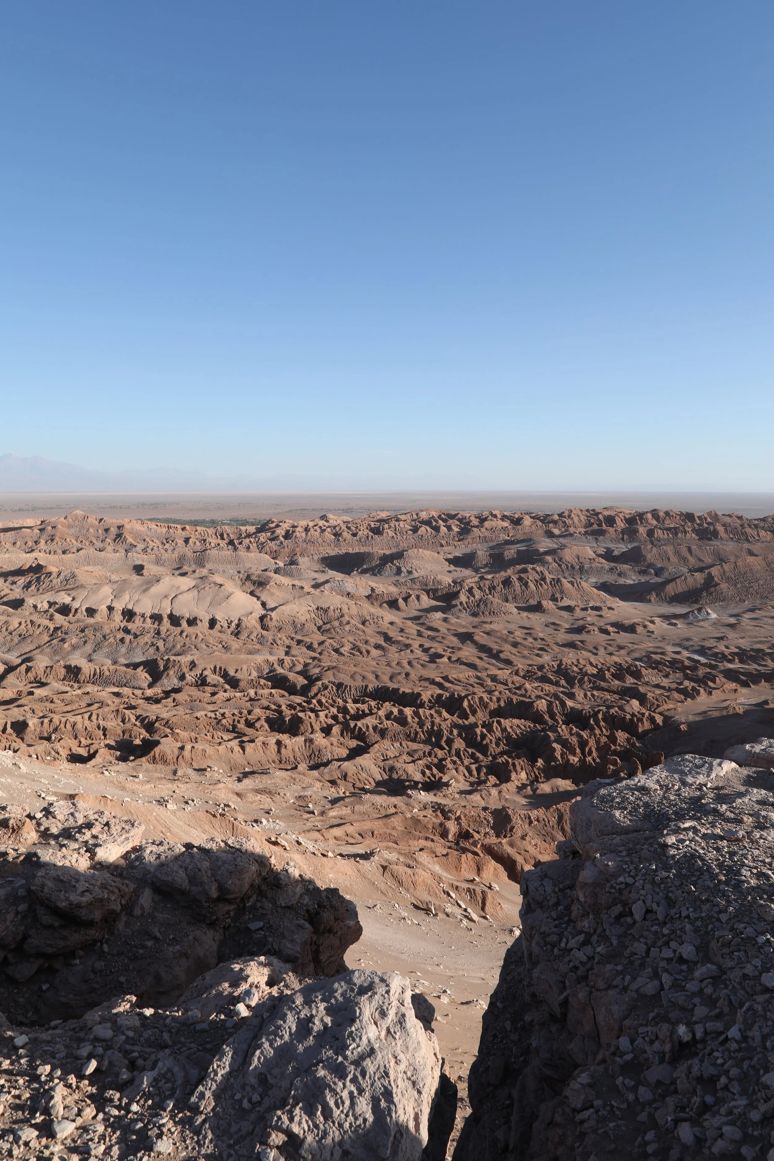 4Y1A0679.JPG