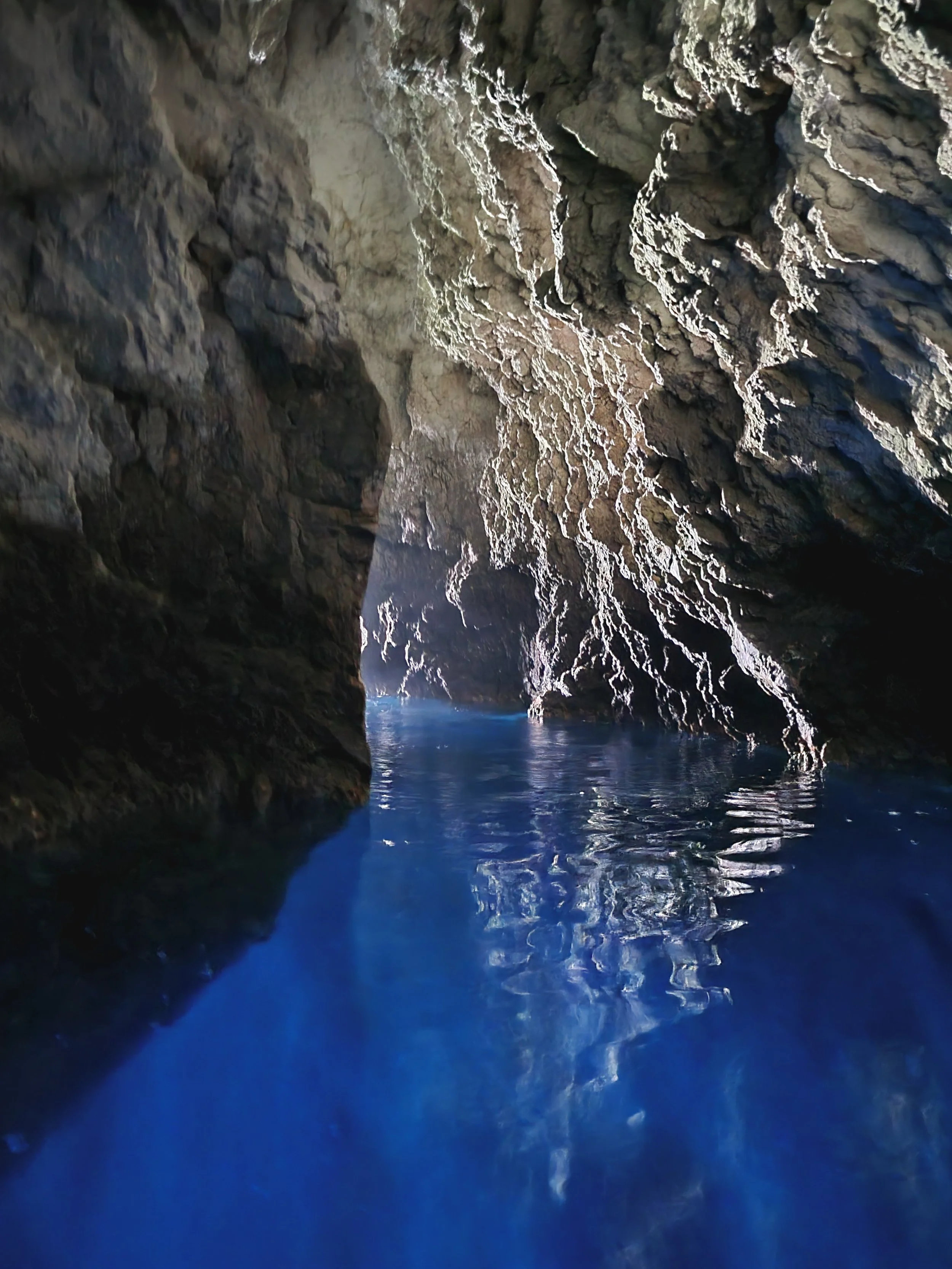 20221008_095450.jpg