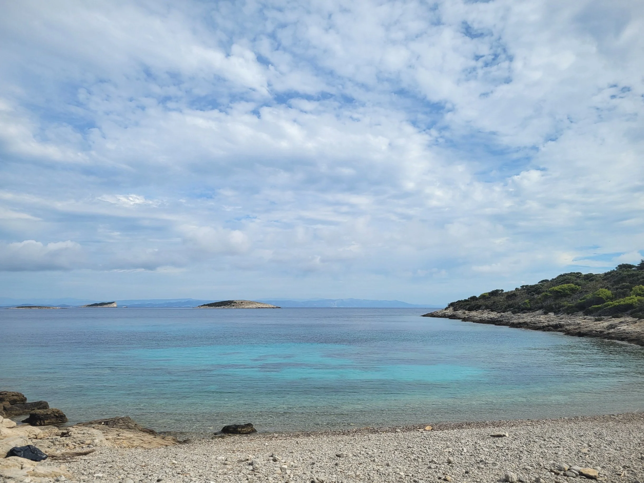 20221008_121139.jpg