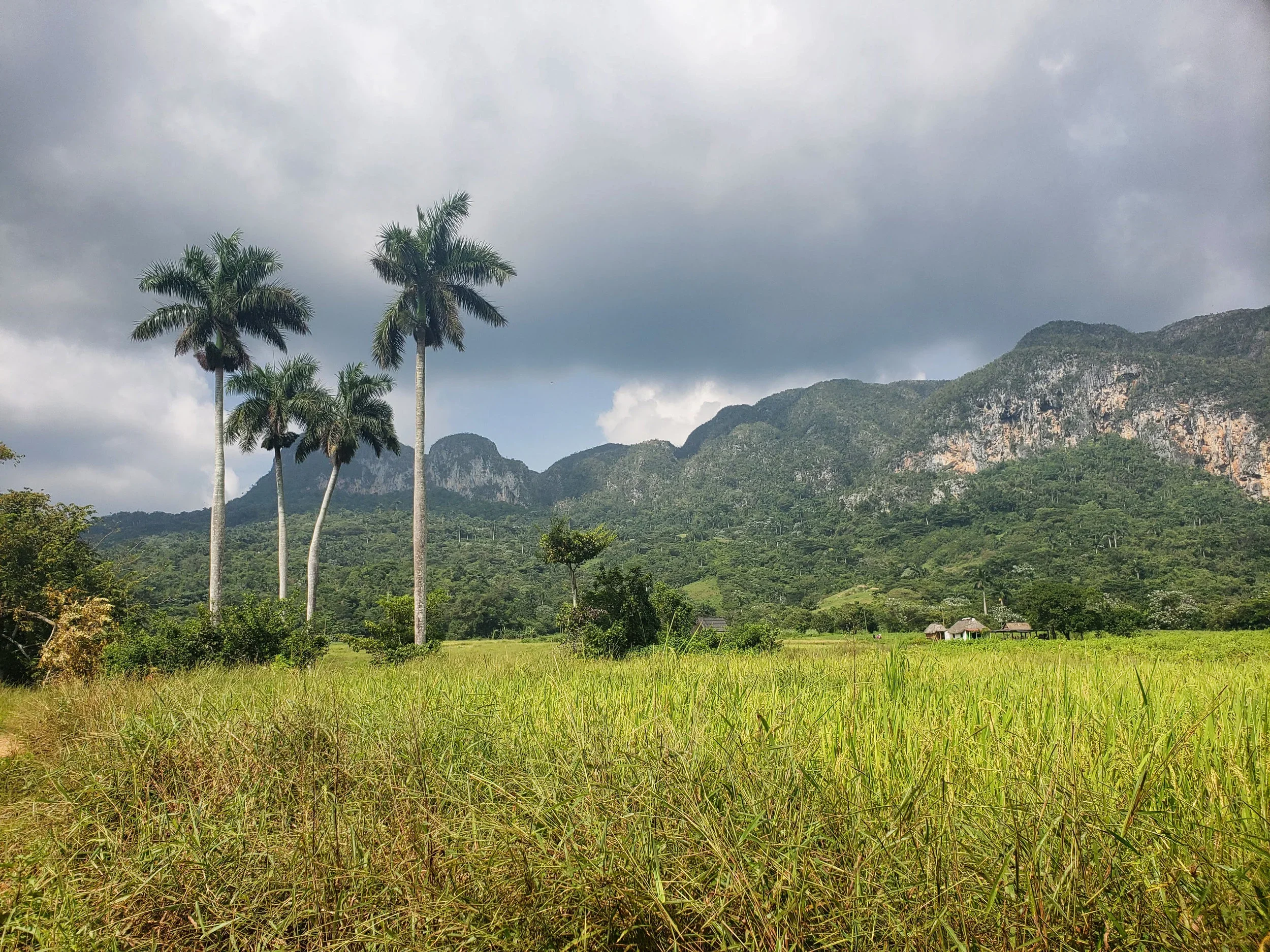 20181013_114628_edit (1).webp