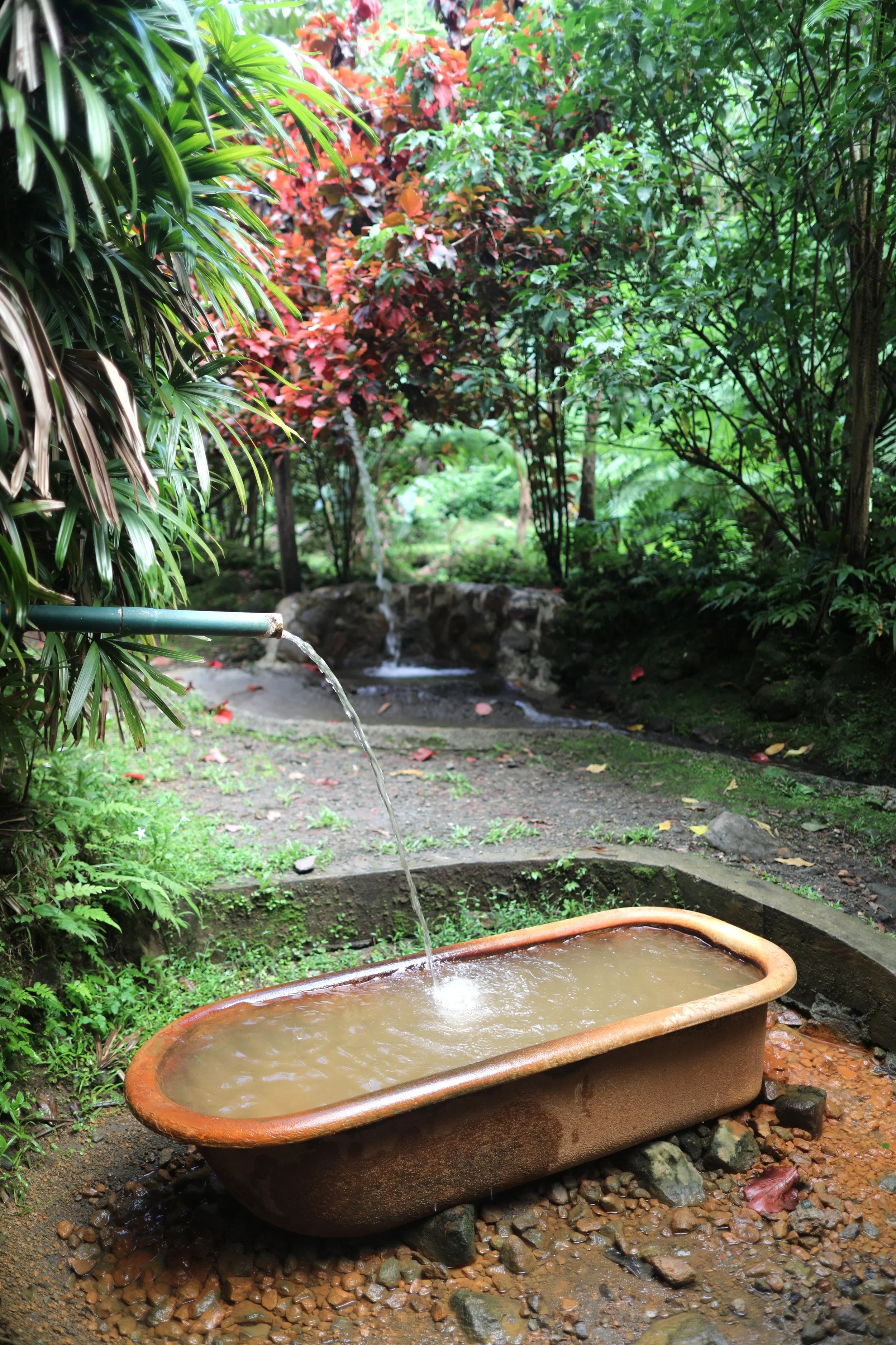 Dominica: Nature Island of the Caribbean