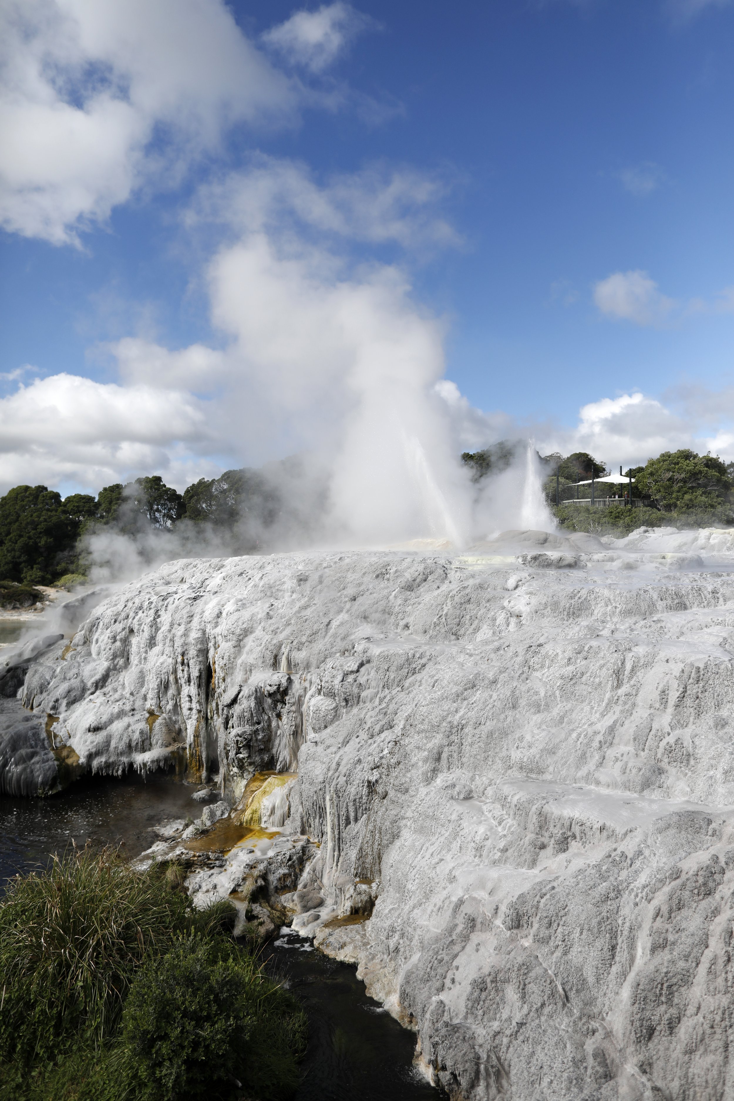 Glowworms of Waitomo &amp; the Geothermal Wonders of Te Puia