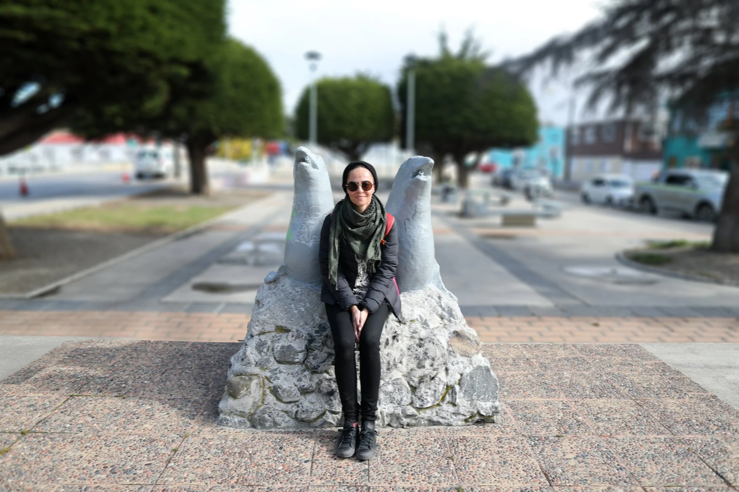 Southern Patagonia &amp; the Gateway to Antarctica: Punta Arenas