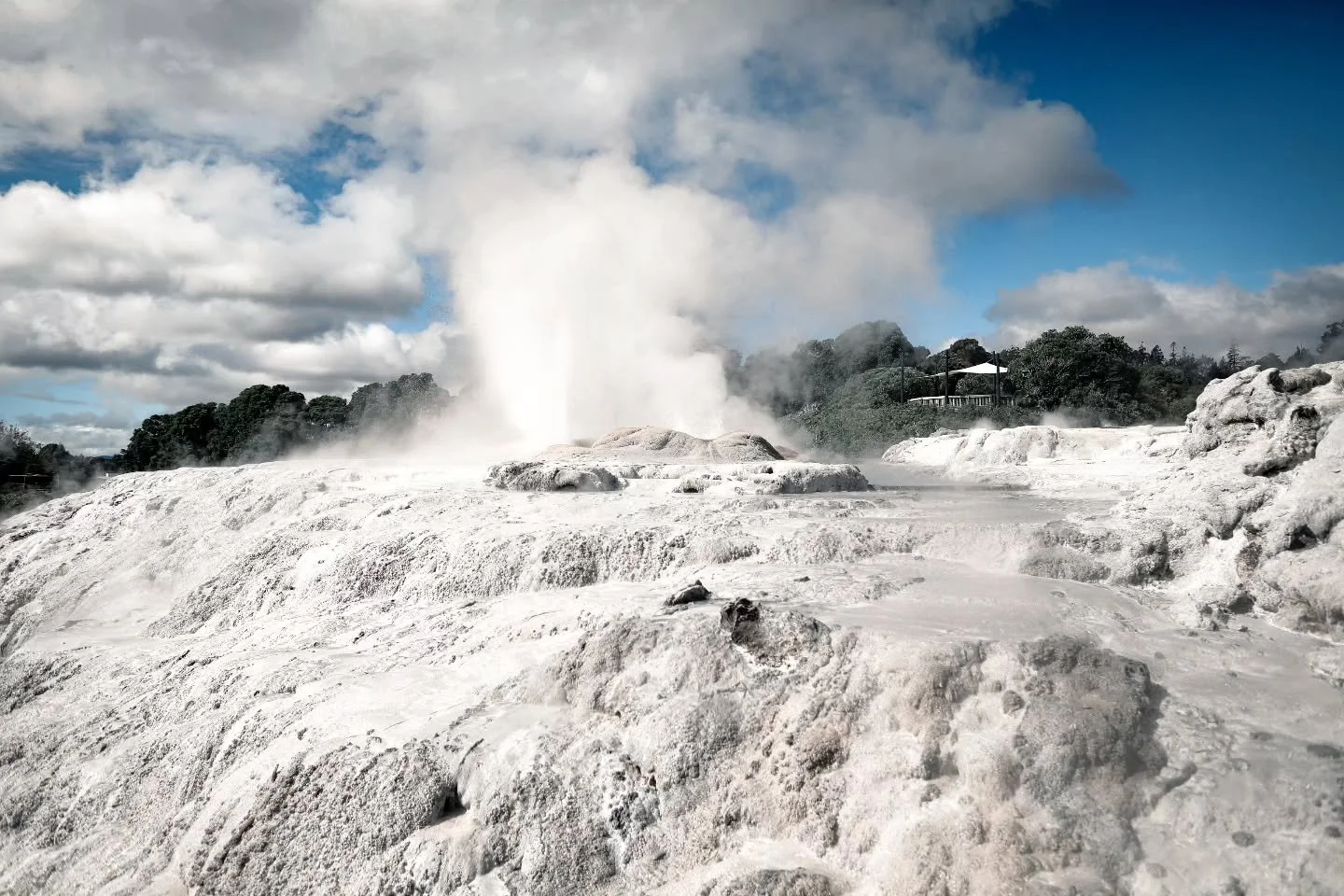 Drift beneath a jeweled sky of Waitomo glowworms and emerge into Te Puia&rsquo;s theater of geysers, Maori artistry and geothermal wonder that sparkles with nature, culture and unforgettable magic. 
.
Heading to New Zealand soon? Head over to my blog