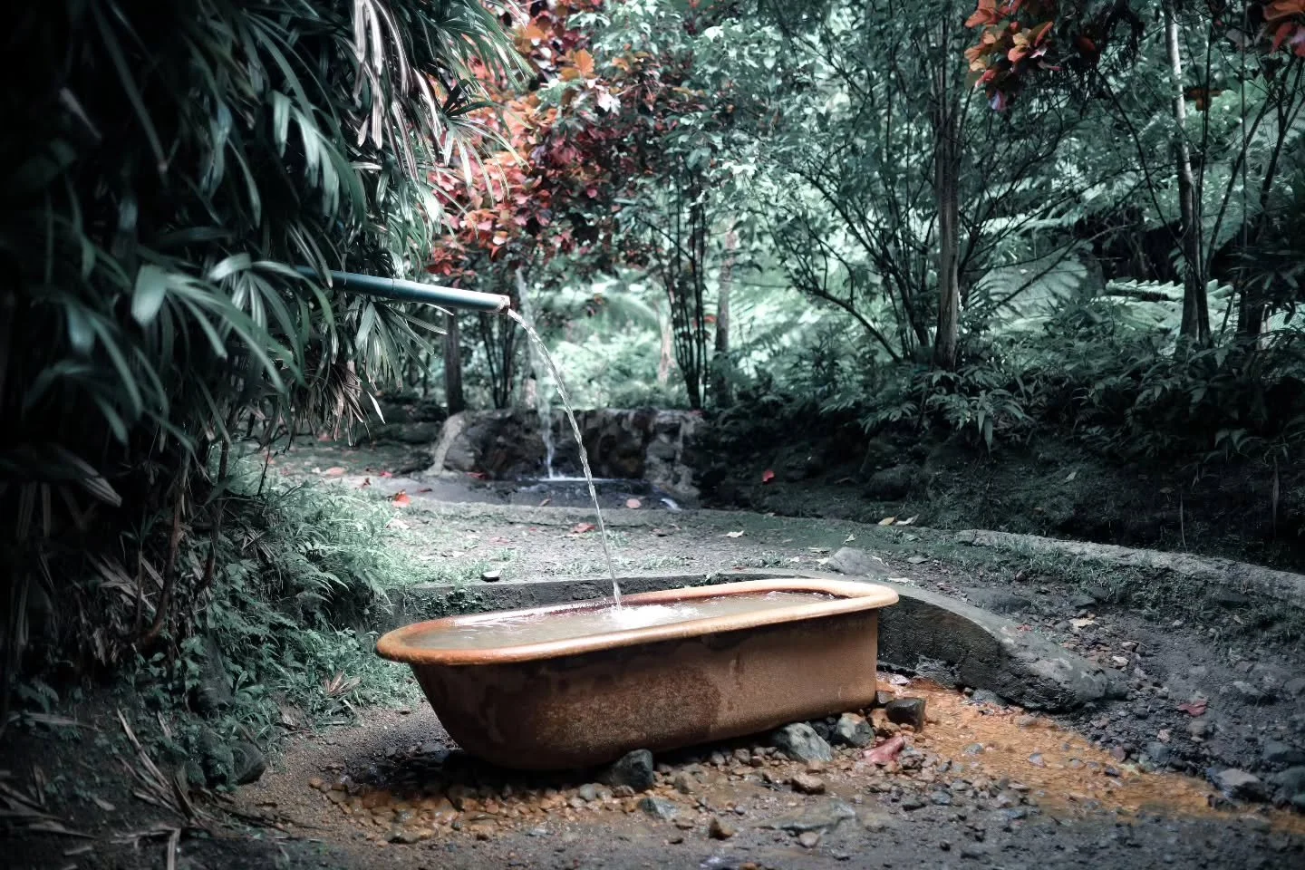 Visiting Dominica feels like stepping into a lush, emerald sanctuary where thunderous waterfalls, steaming hot springs and welcoming islanders turn every trail into a small, unforgettable discovery.
.
If a tropical escape is calling your name, let Do