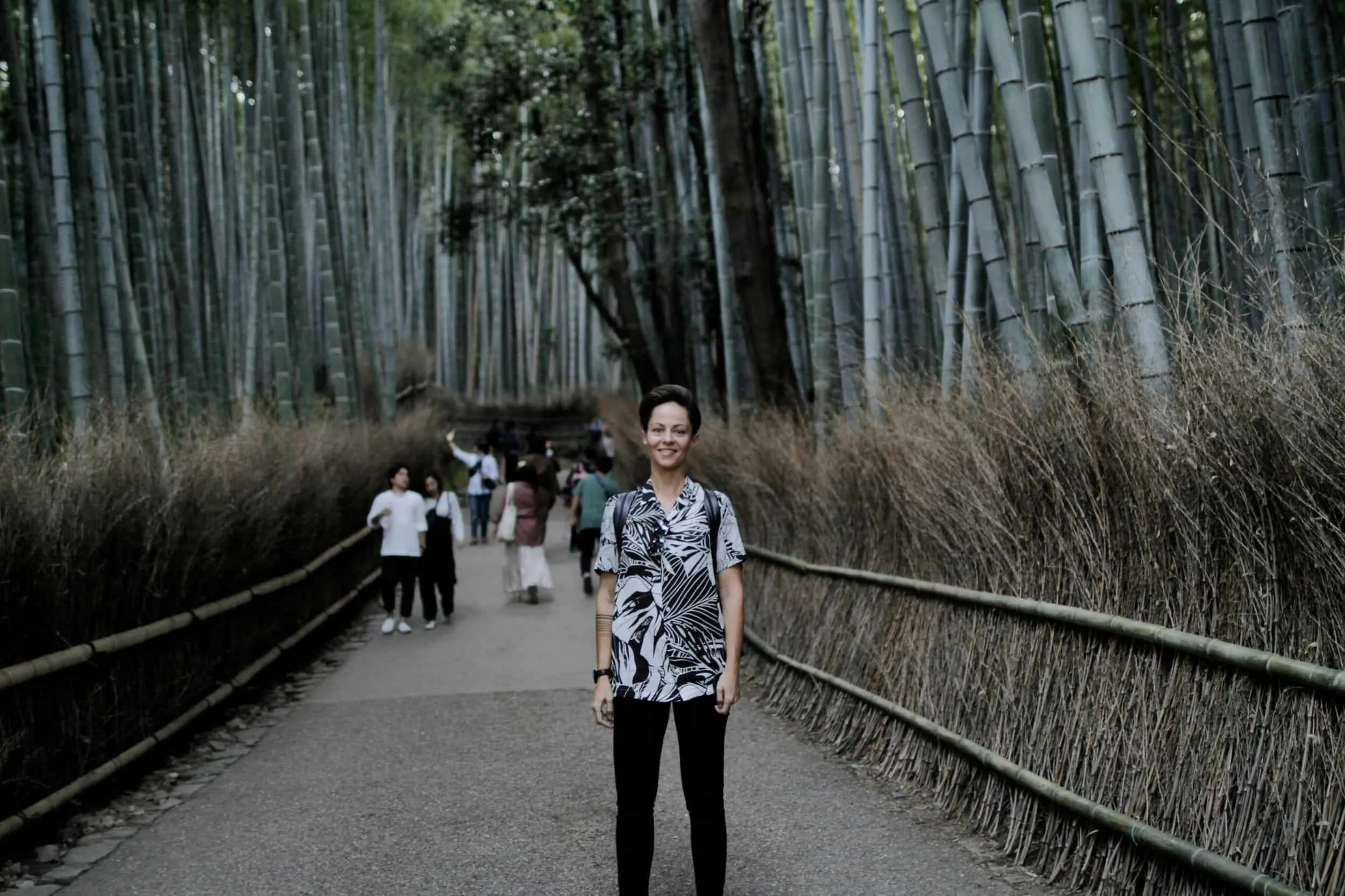 Emerald Green Bamboo Forests of Arashiyama
