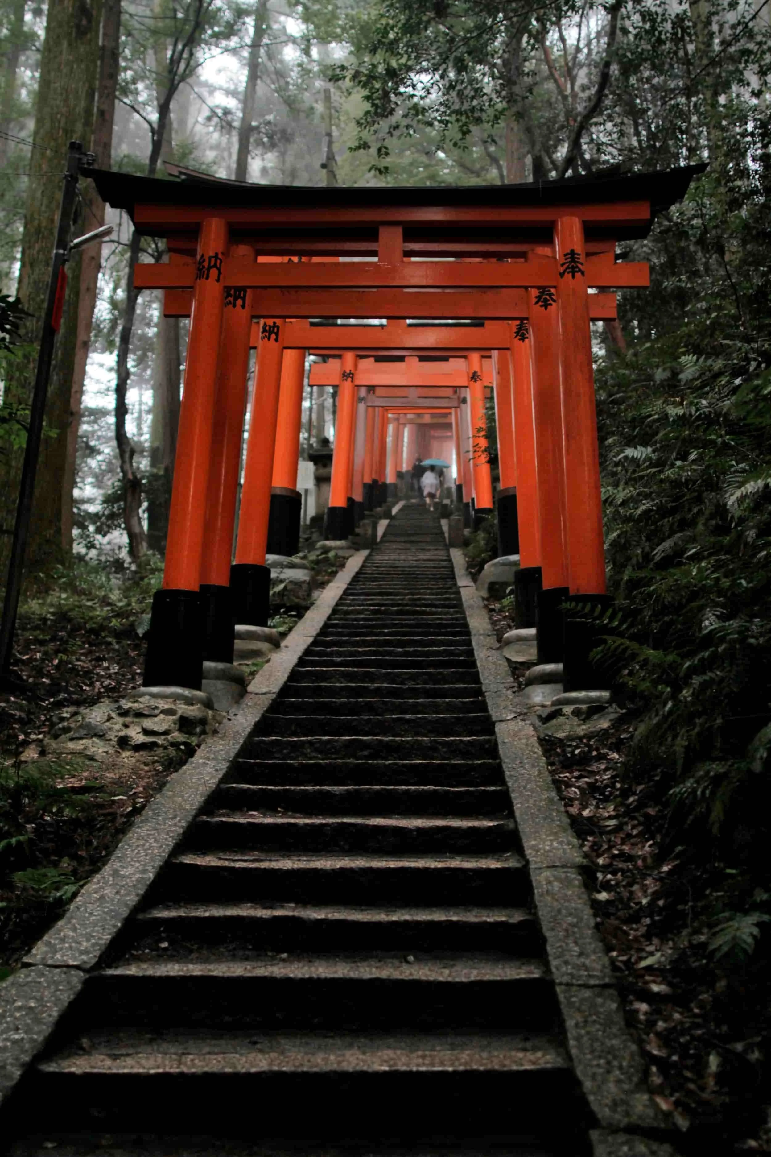 Fushimi Inari Taisha’s 10,000 Torii Gates