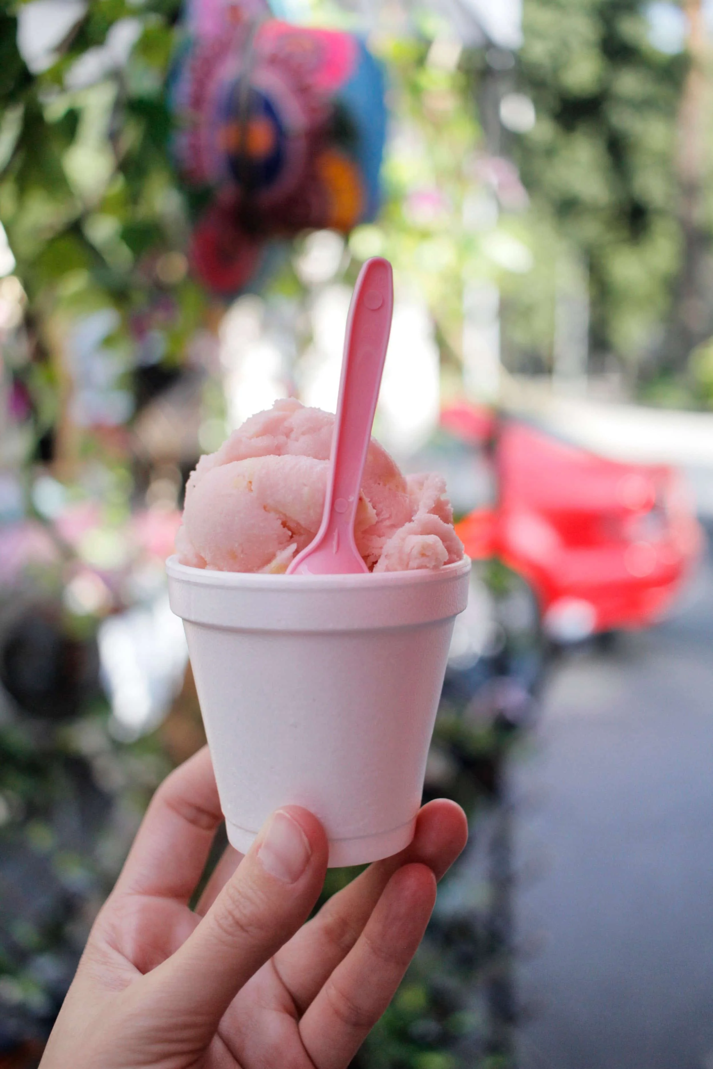 Pink ice cream in a white cup with greenery behind, Mexico City market