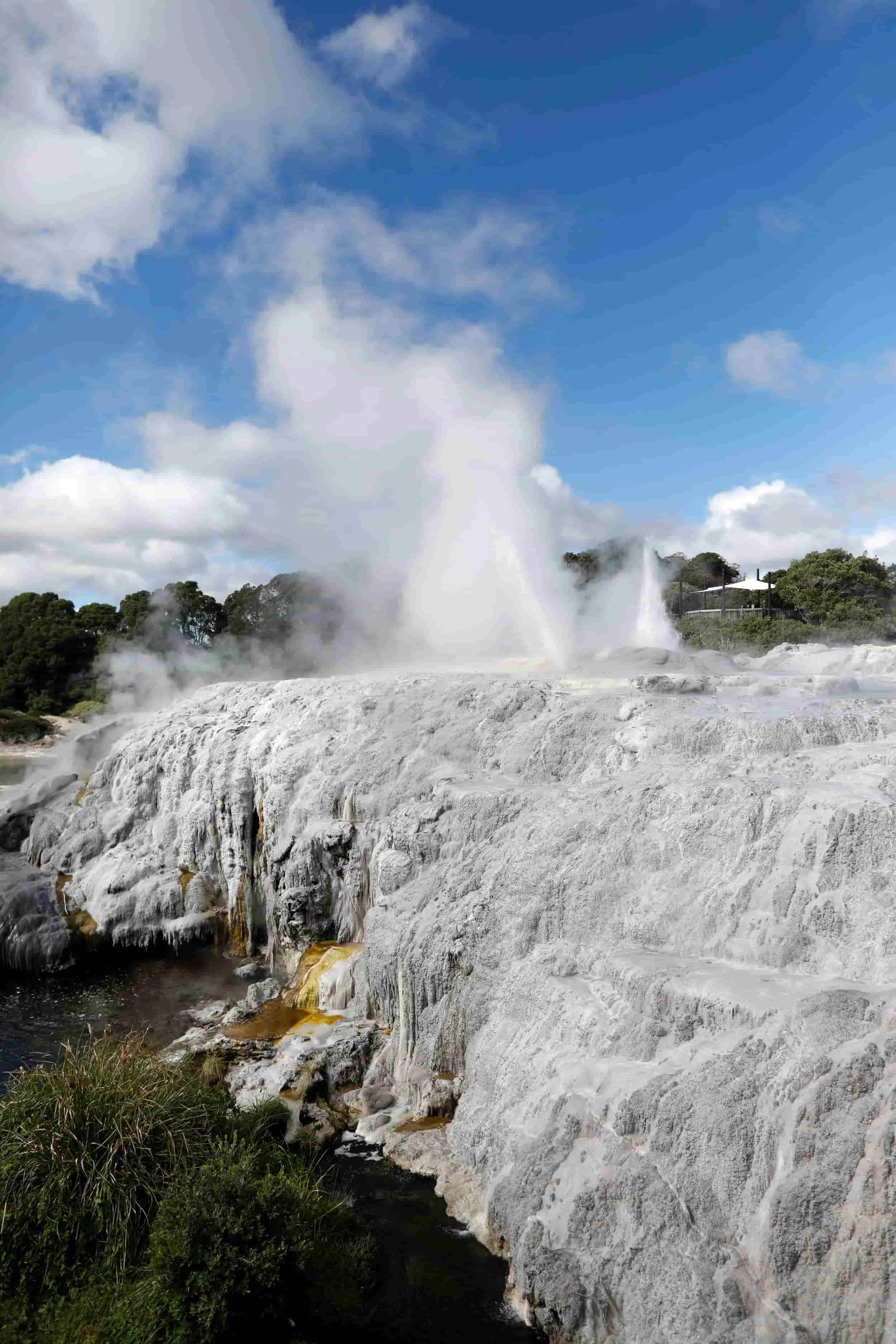 North Island Must-Dos: Rotorua’s Geothermal Heart — Te Puia