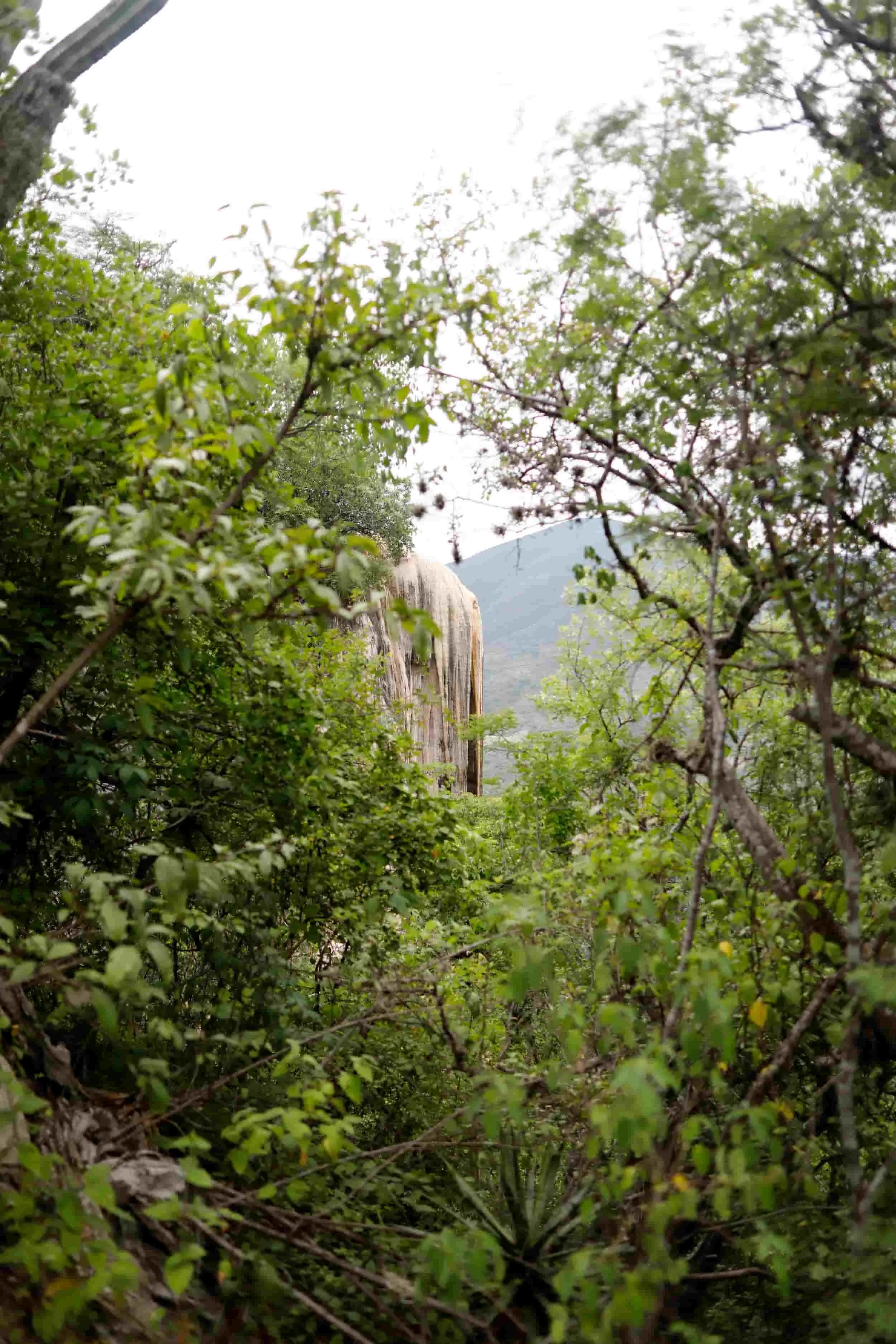 Hierve el Agua