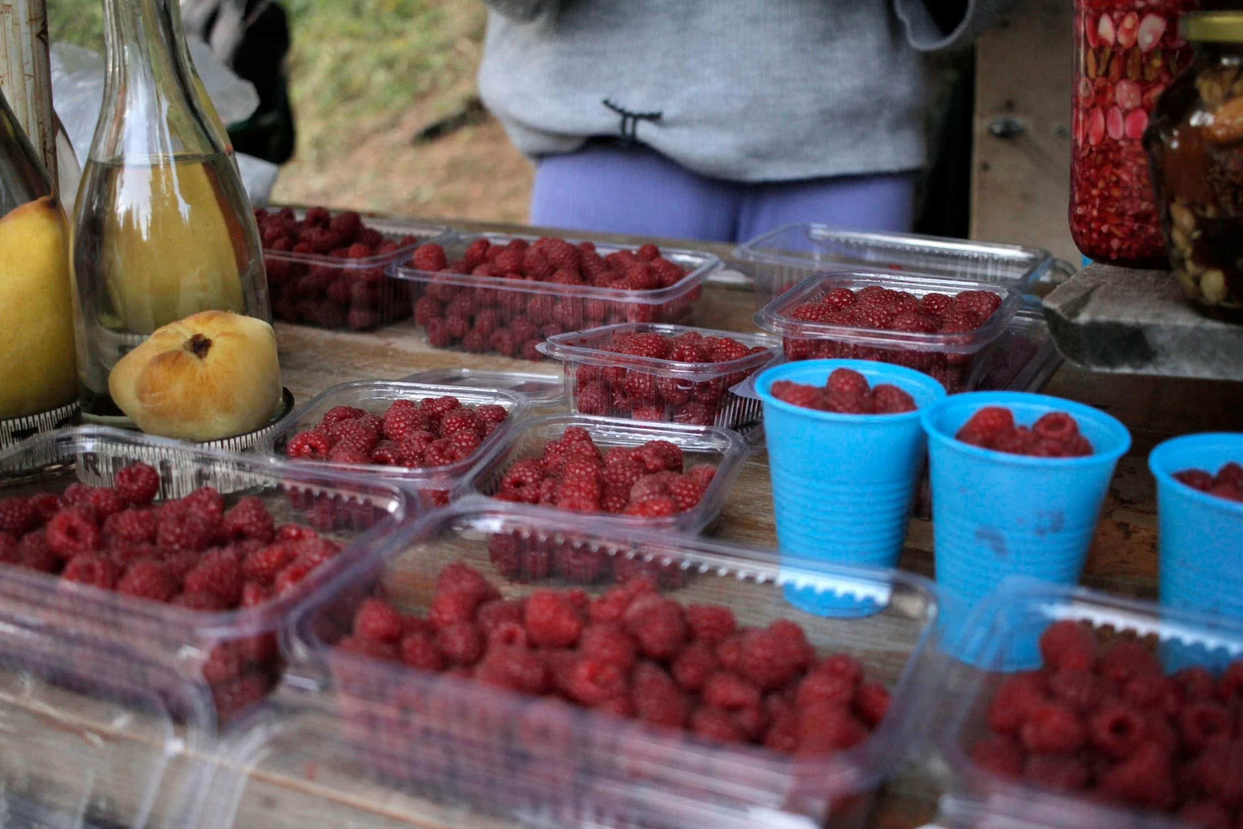 Raspberries for sale at Black Lake at Durmitor National Park