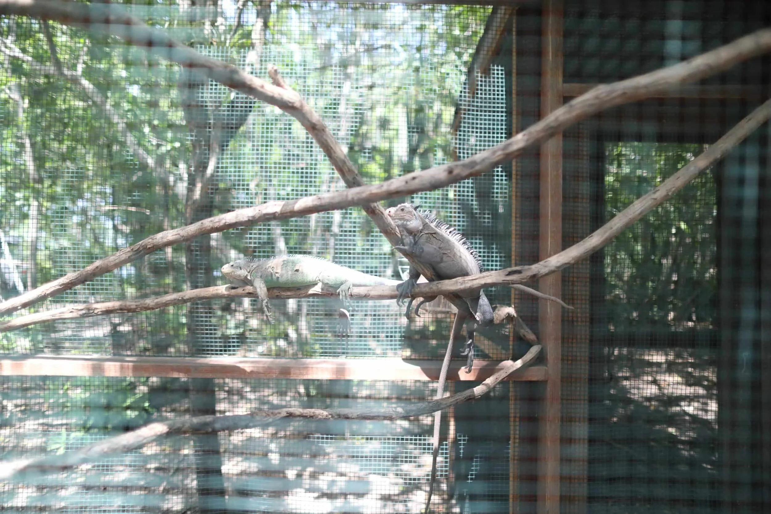 4Y1A2568_compressed.jpg