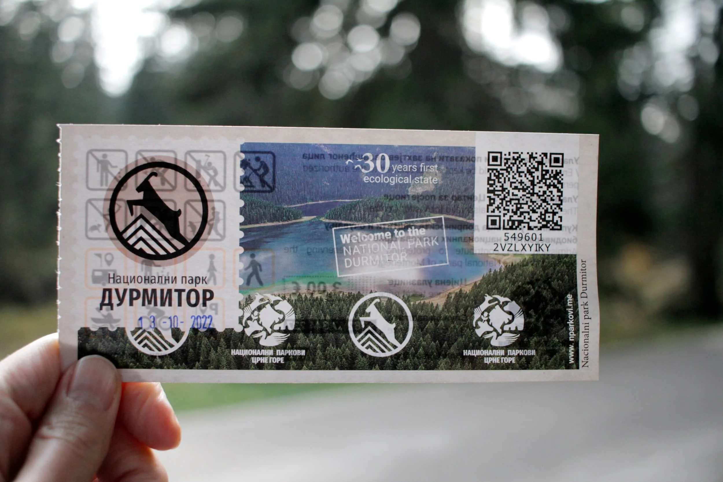 _MG_9867+copy_compressed.jpg