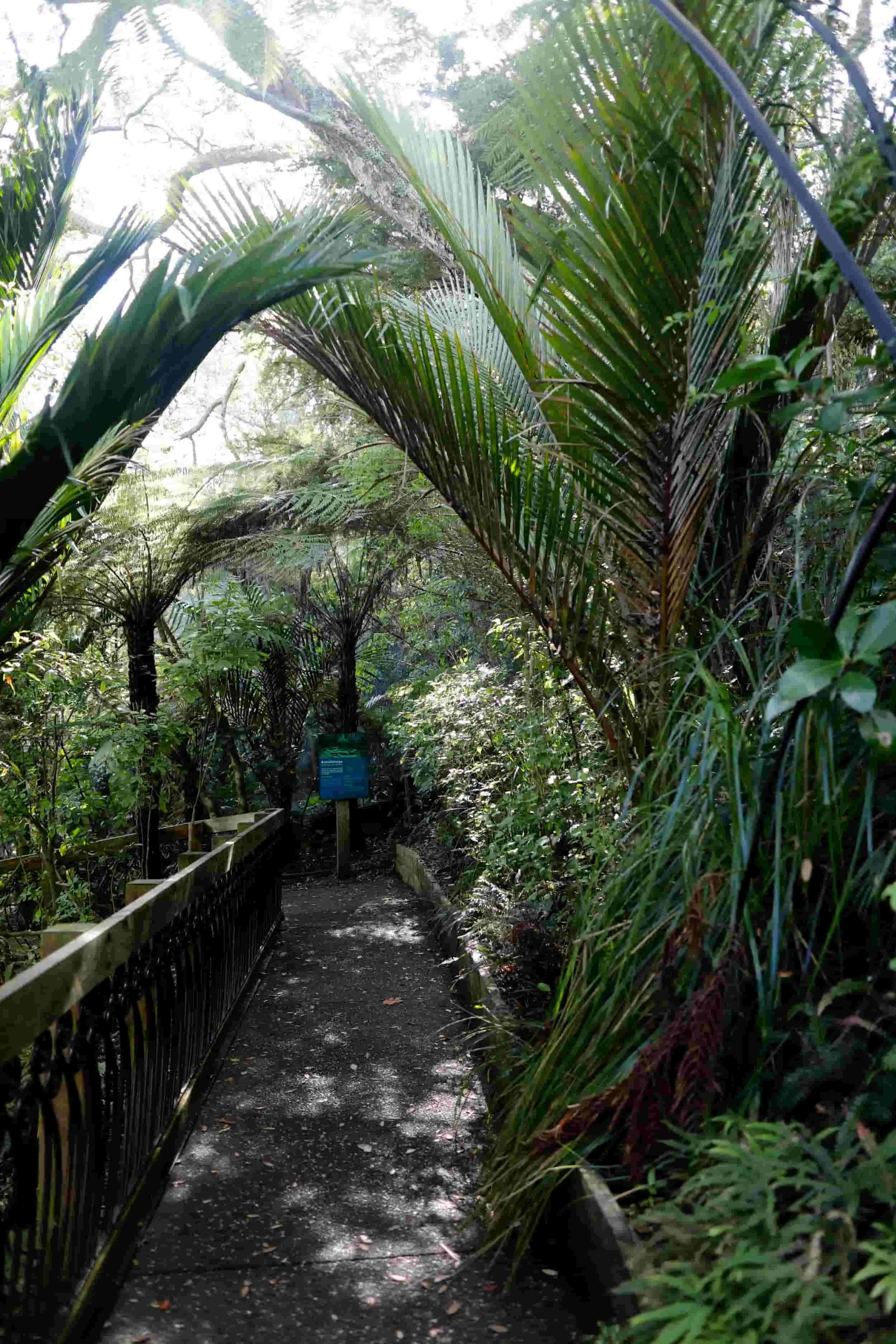 _Y1A5452+copy_compressed.jpg