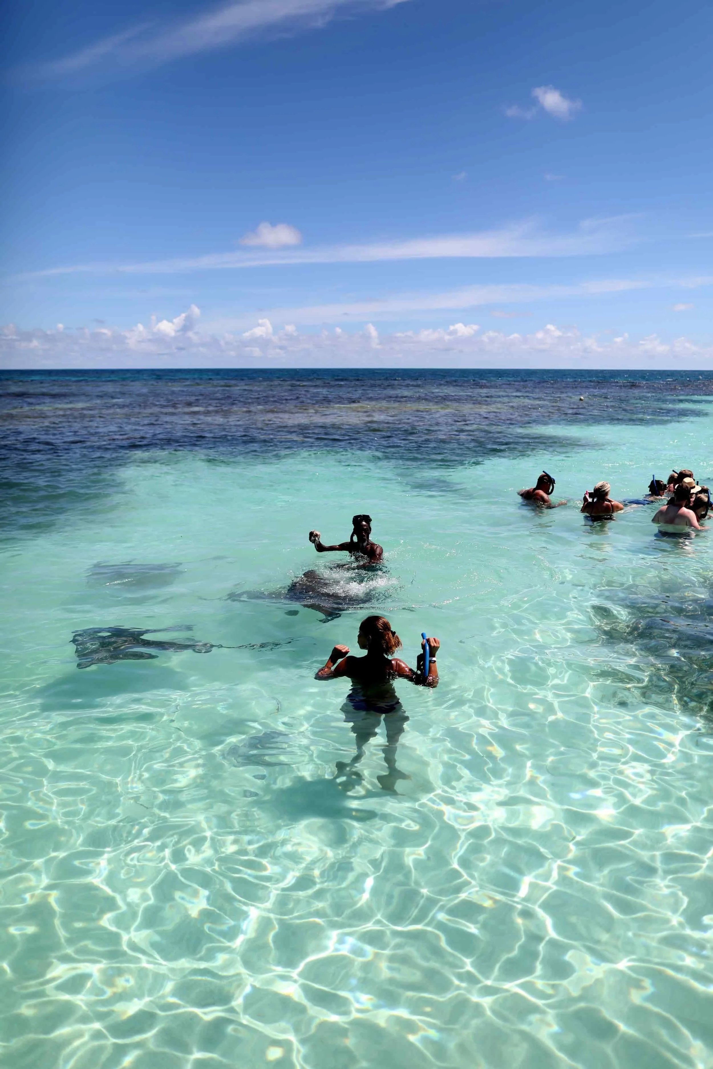 Swimming with stingrays