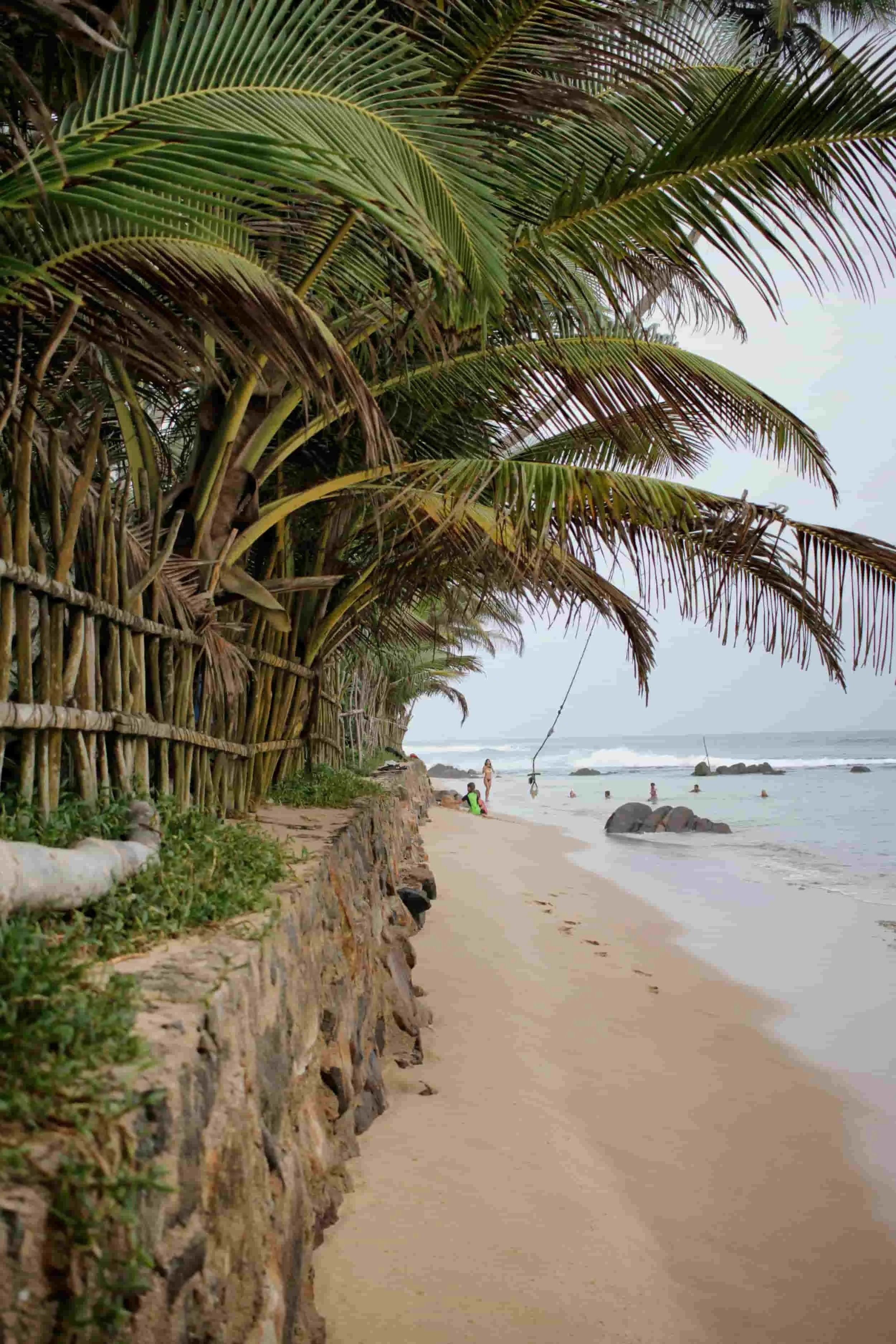 Dalawella Beach rope swing