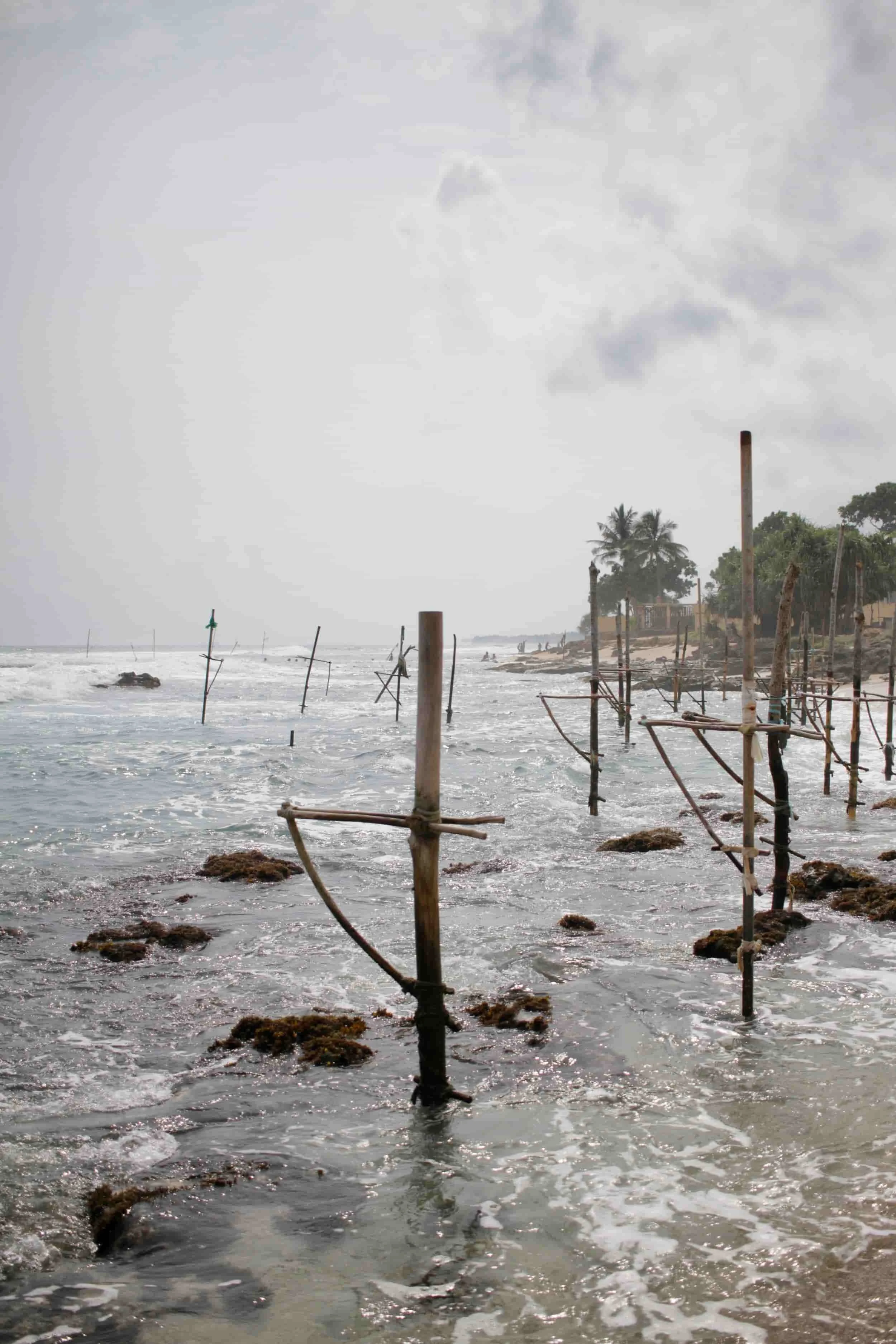 Koggala Beach stilt fishing