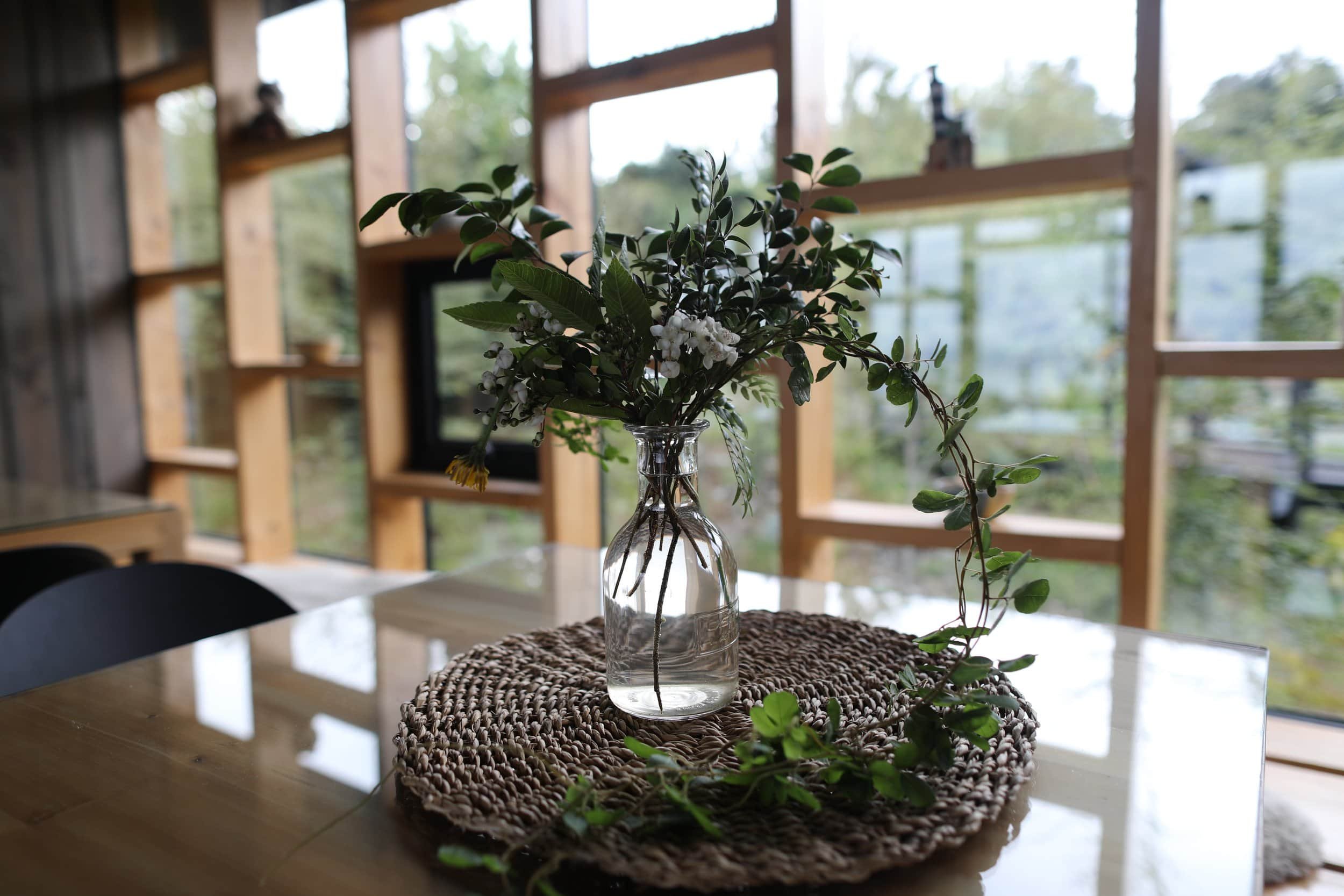 Green plant life and flowers in a small vase on a table