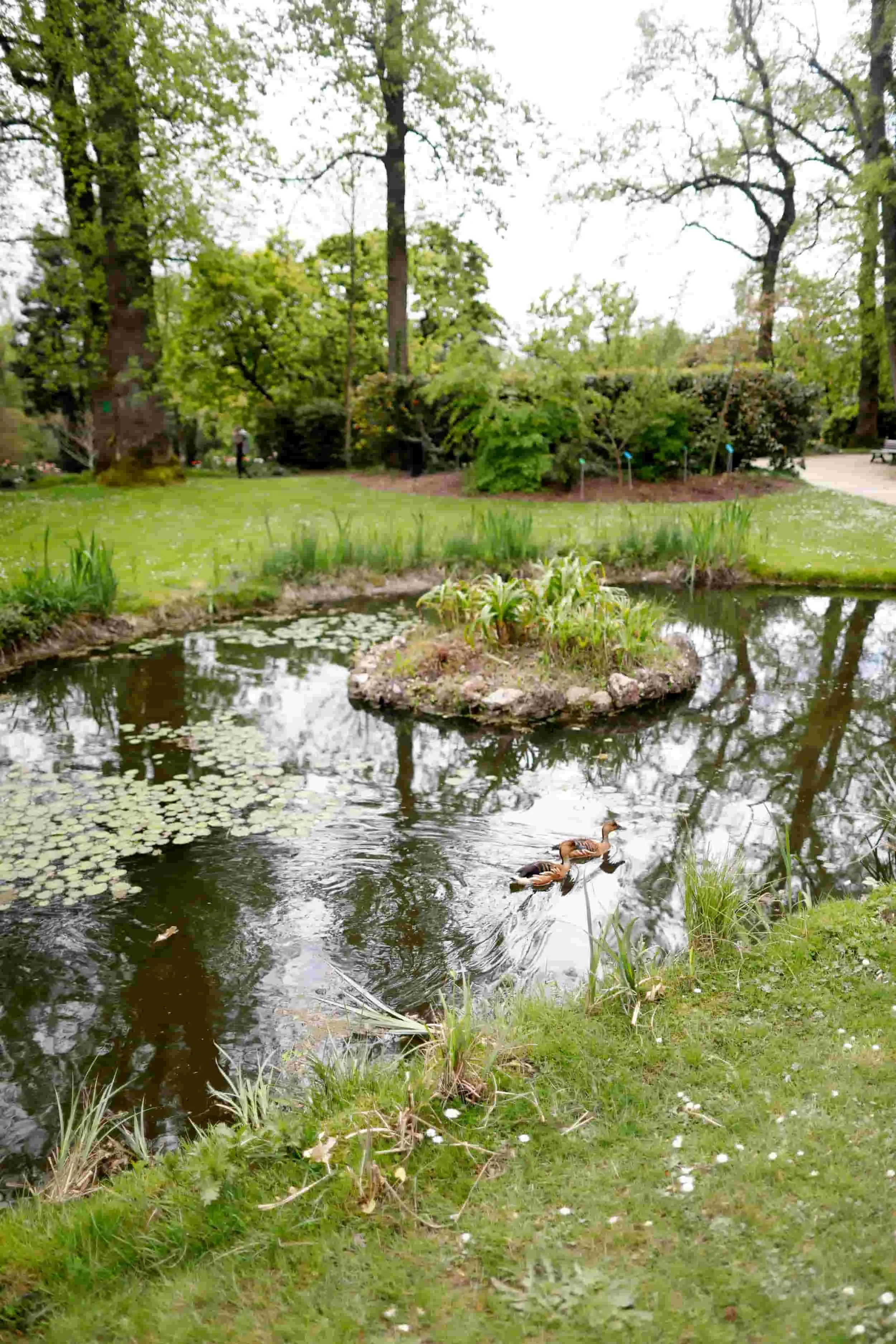Botanical Gardens of Jardin des Plantes in Nantes, France