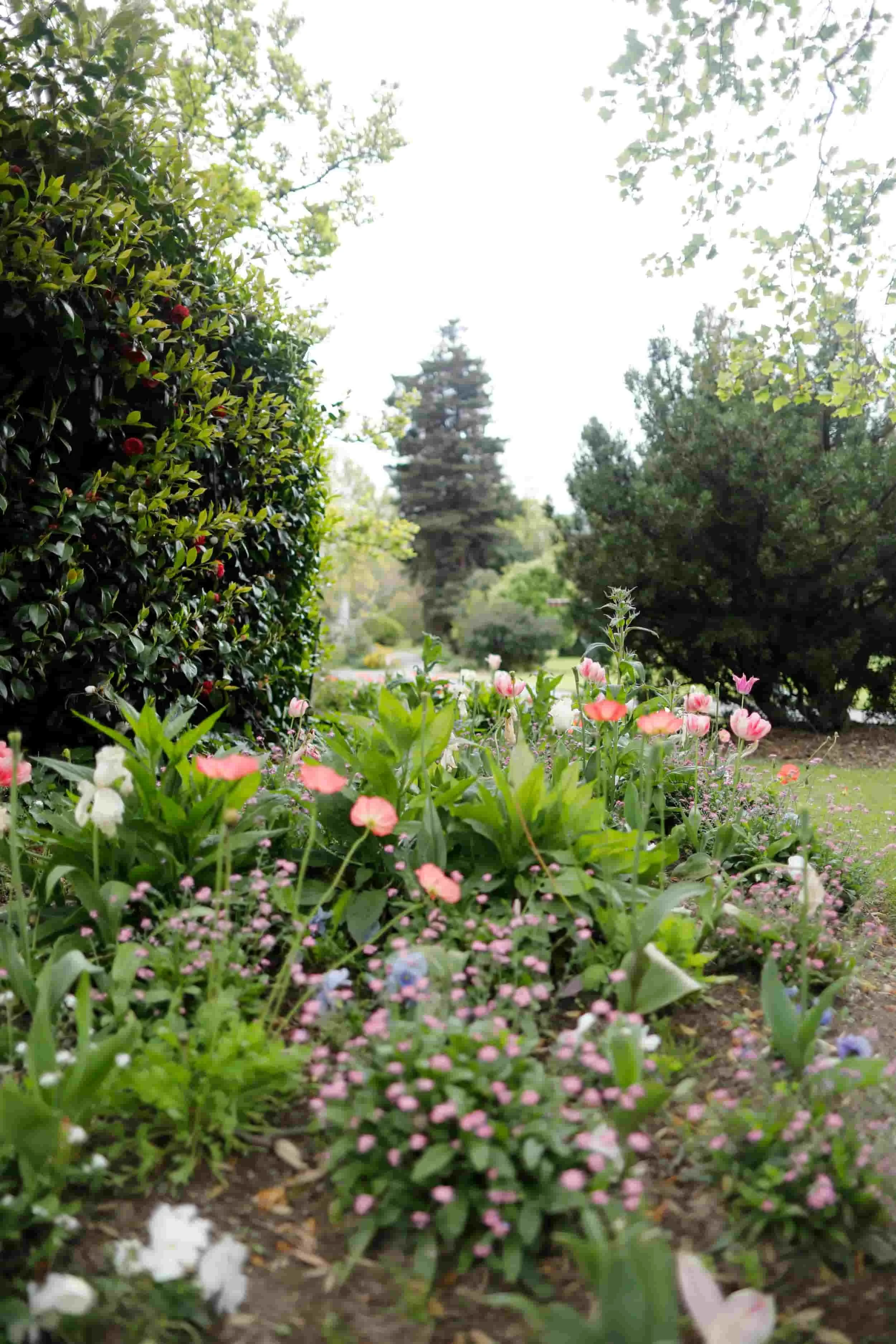 Botanical Gardens of Jardin des Plantes in Nantes, France