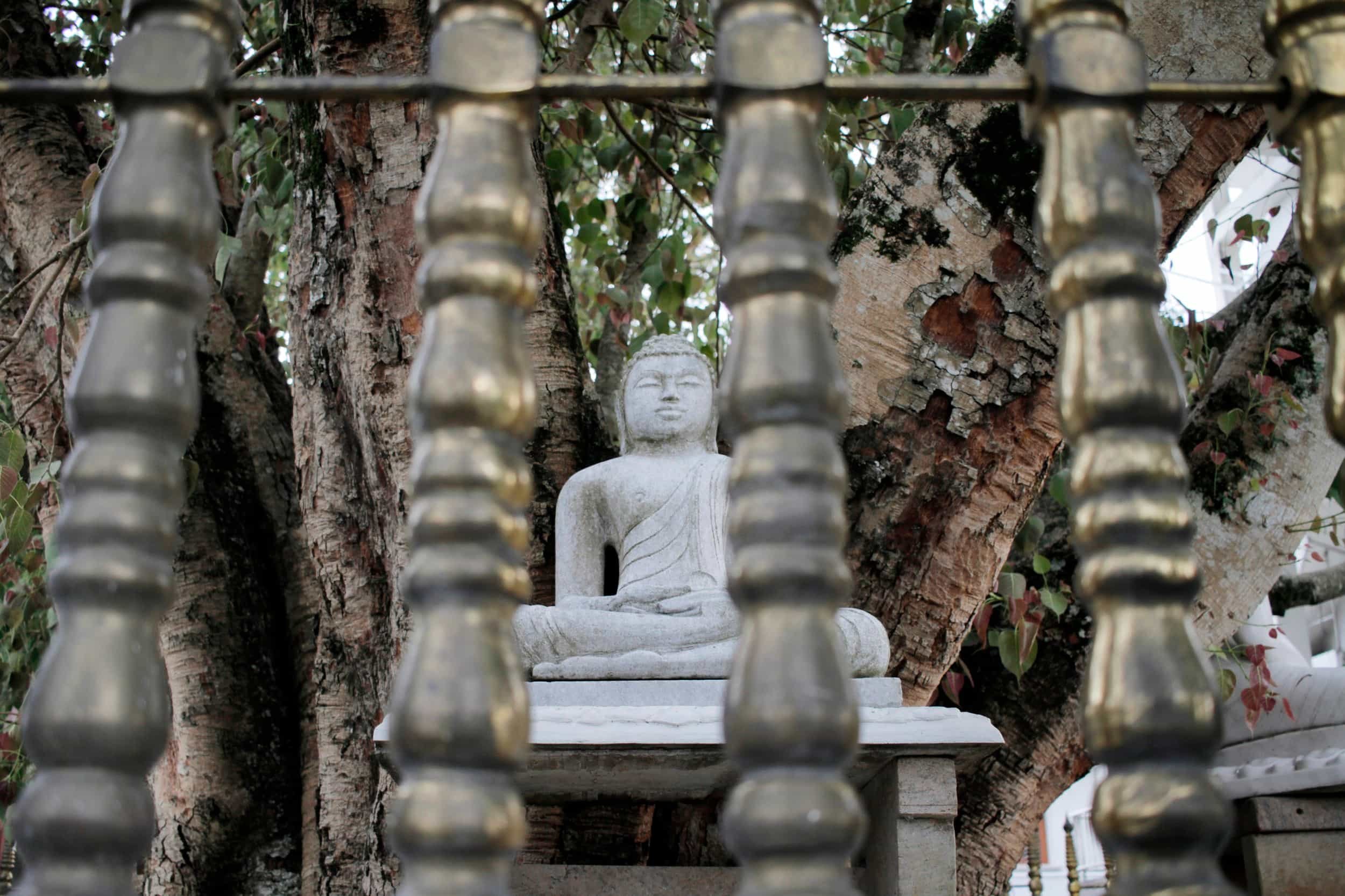 Kandy’s Giant Buddha — Bahirawakanda Vihara Buddha Statue