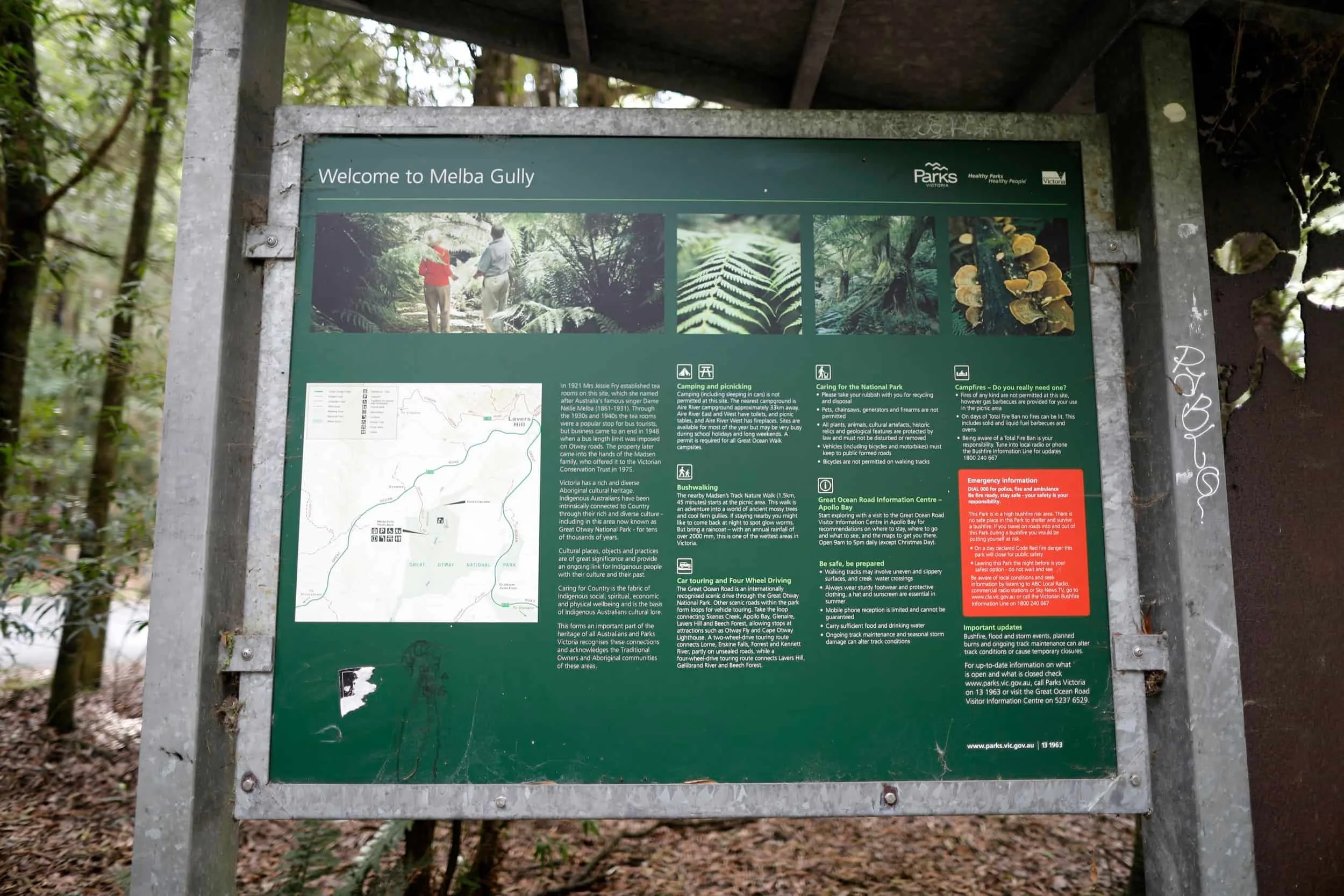 Great Ocean Road tour - Melba Gully