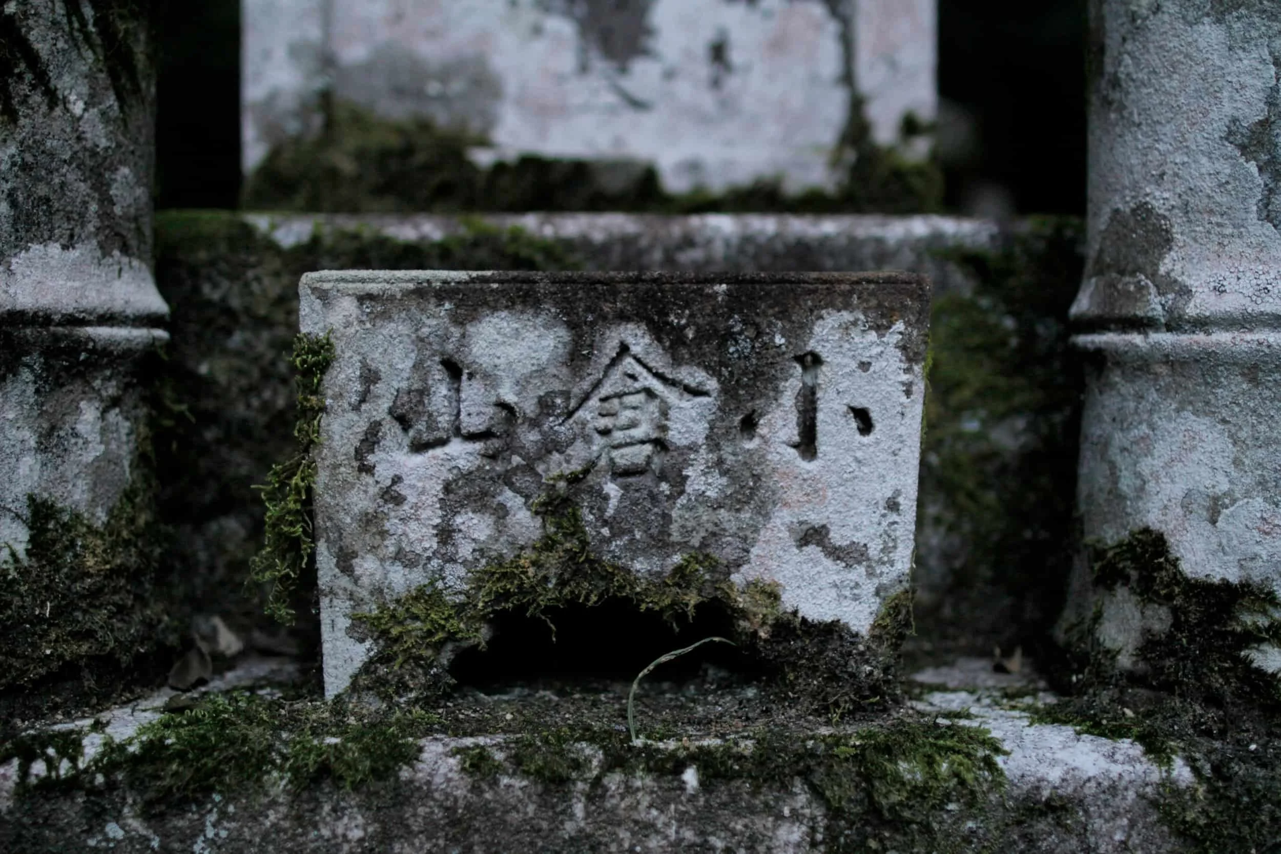 Arashiyama Nison-in Temple