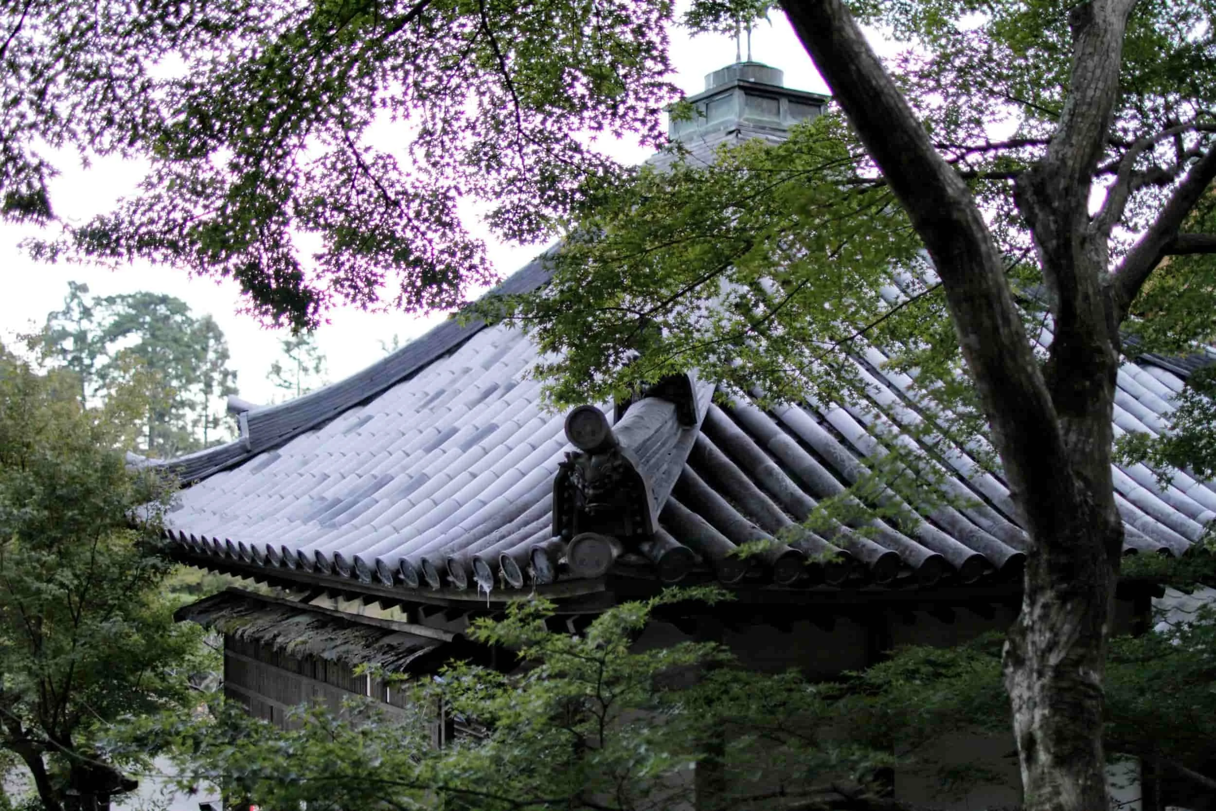 Arashiyama Nison-in Temple