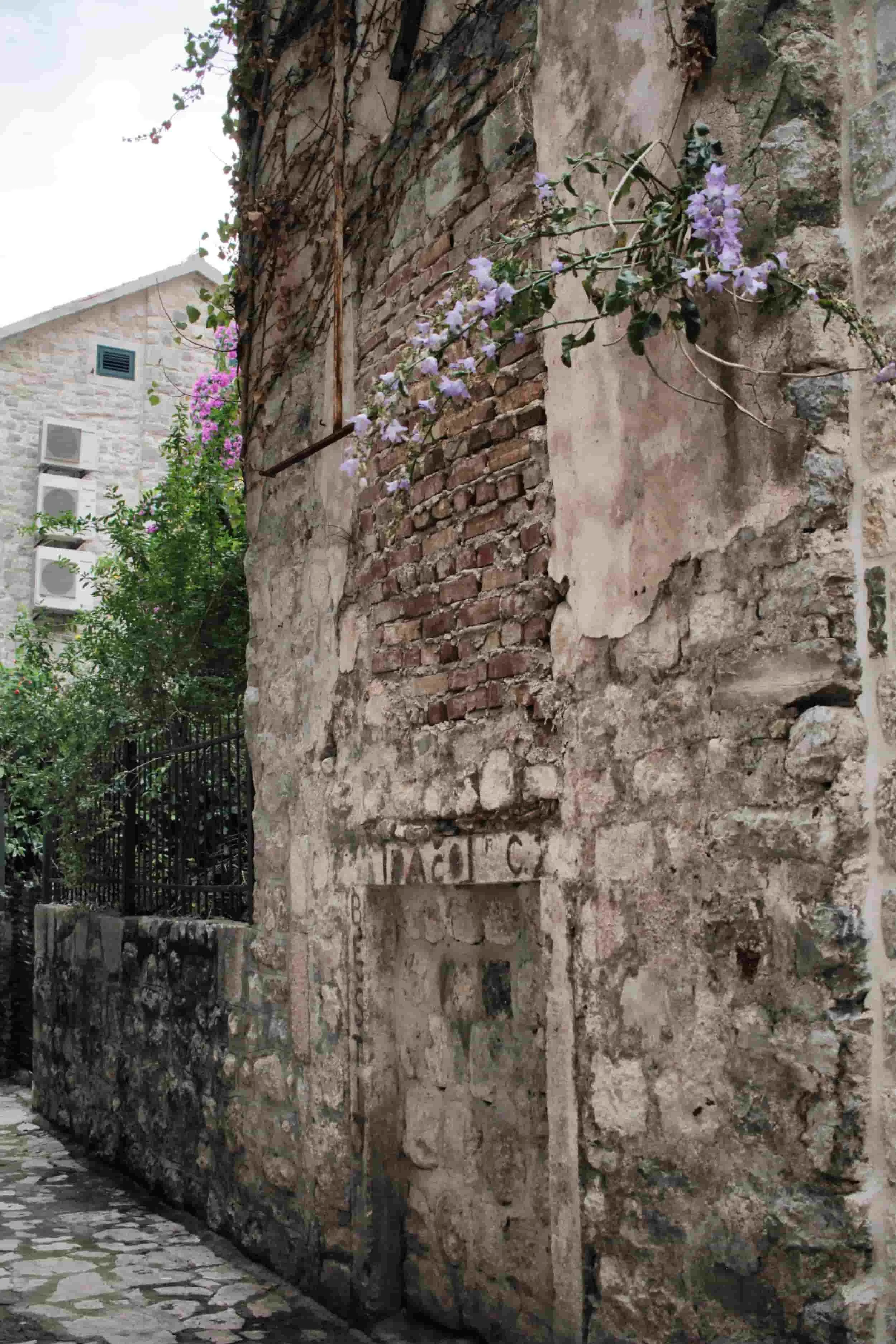 Stone wall with purple flowers in Kotor Montenegro