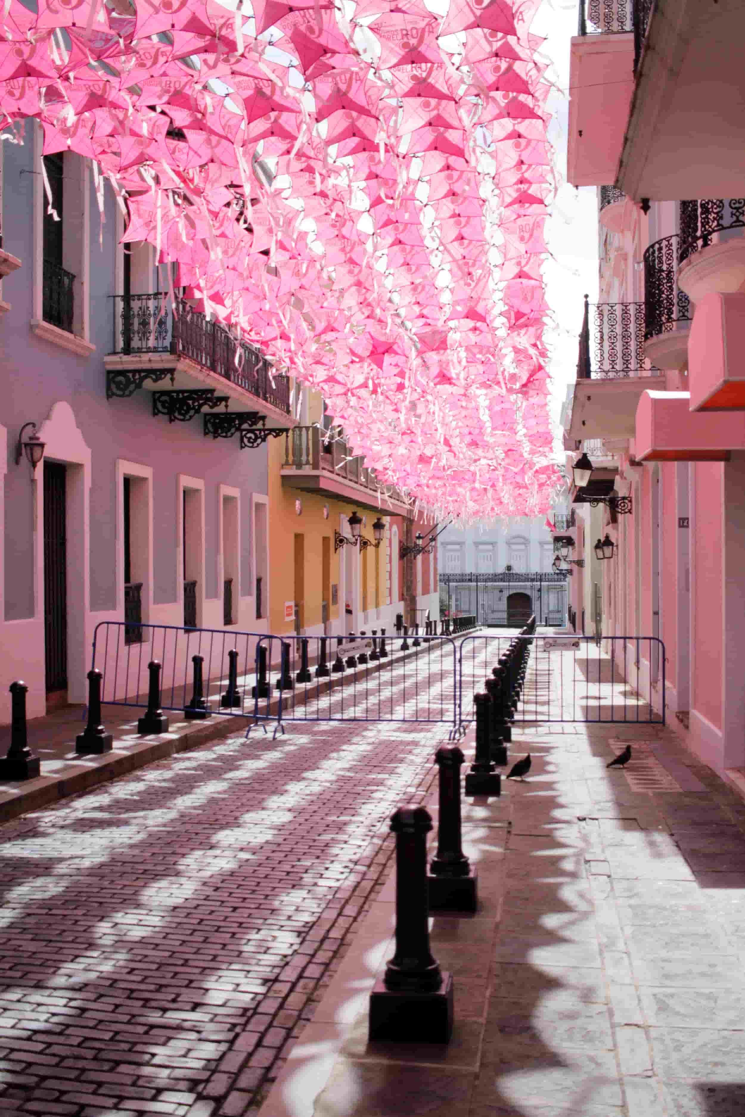 Umbrella Street in Viejo San Juan PR, pink kites overhead