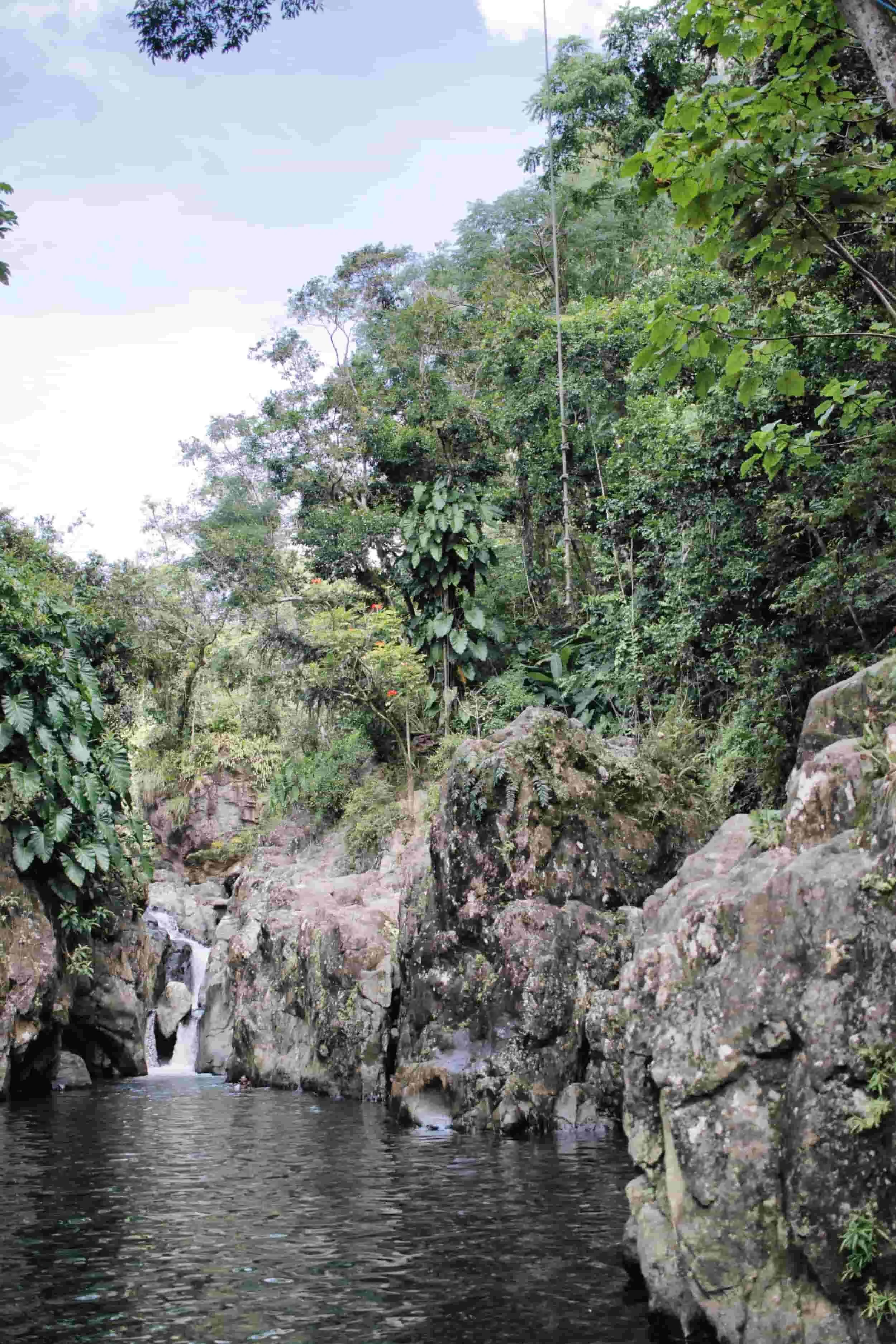 El Yunque National Forest