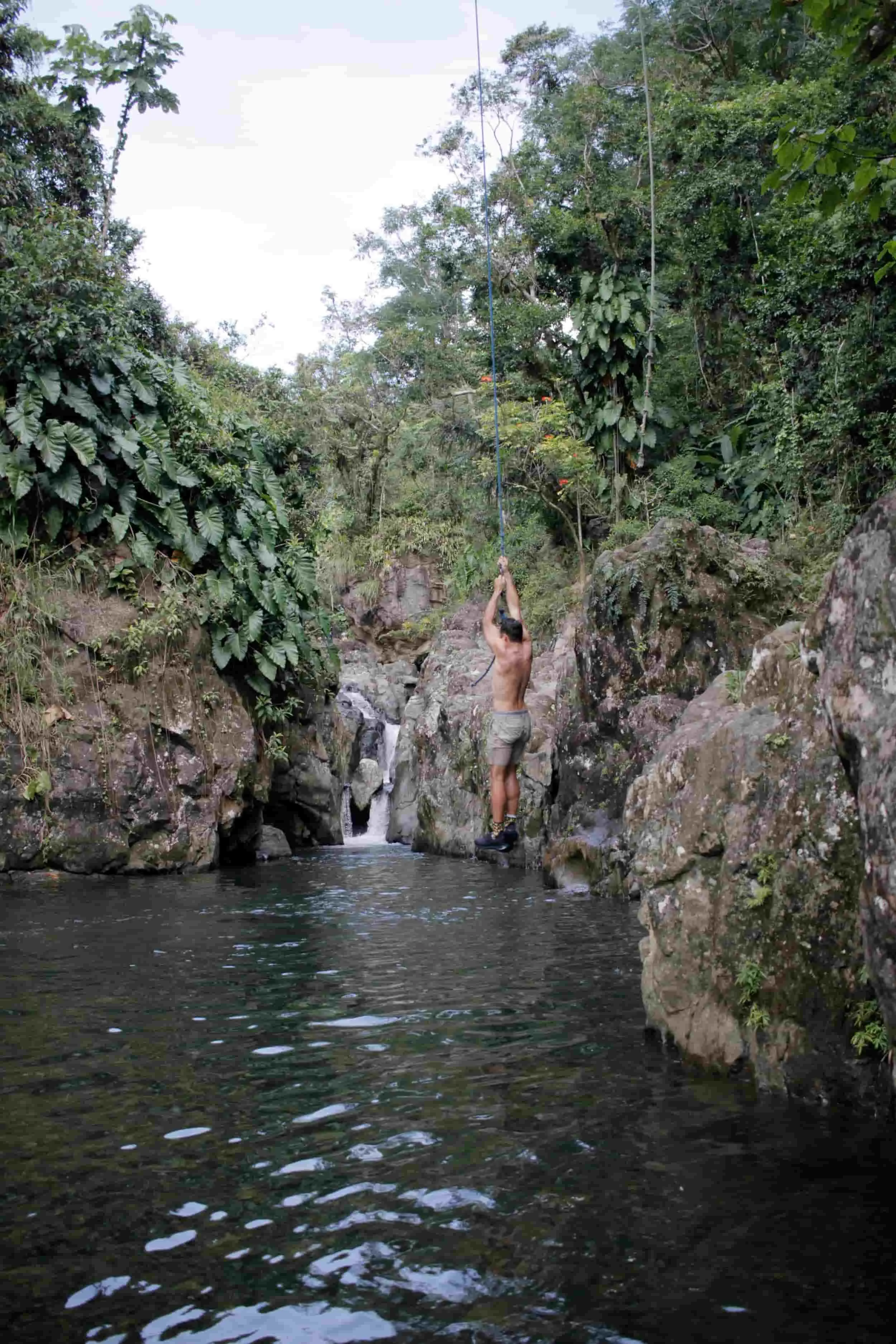El Yunque National Forest