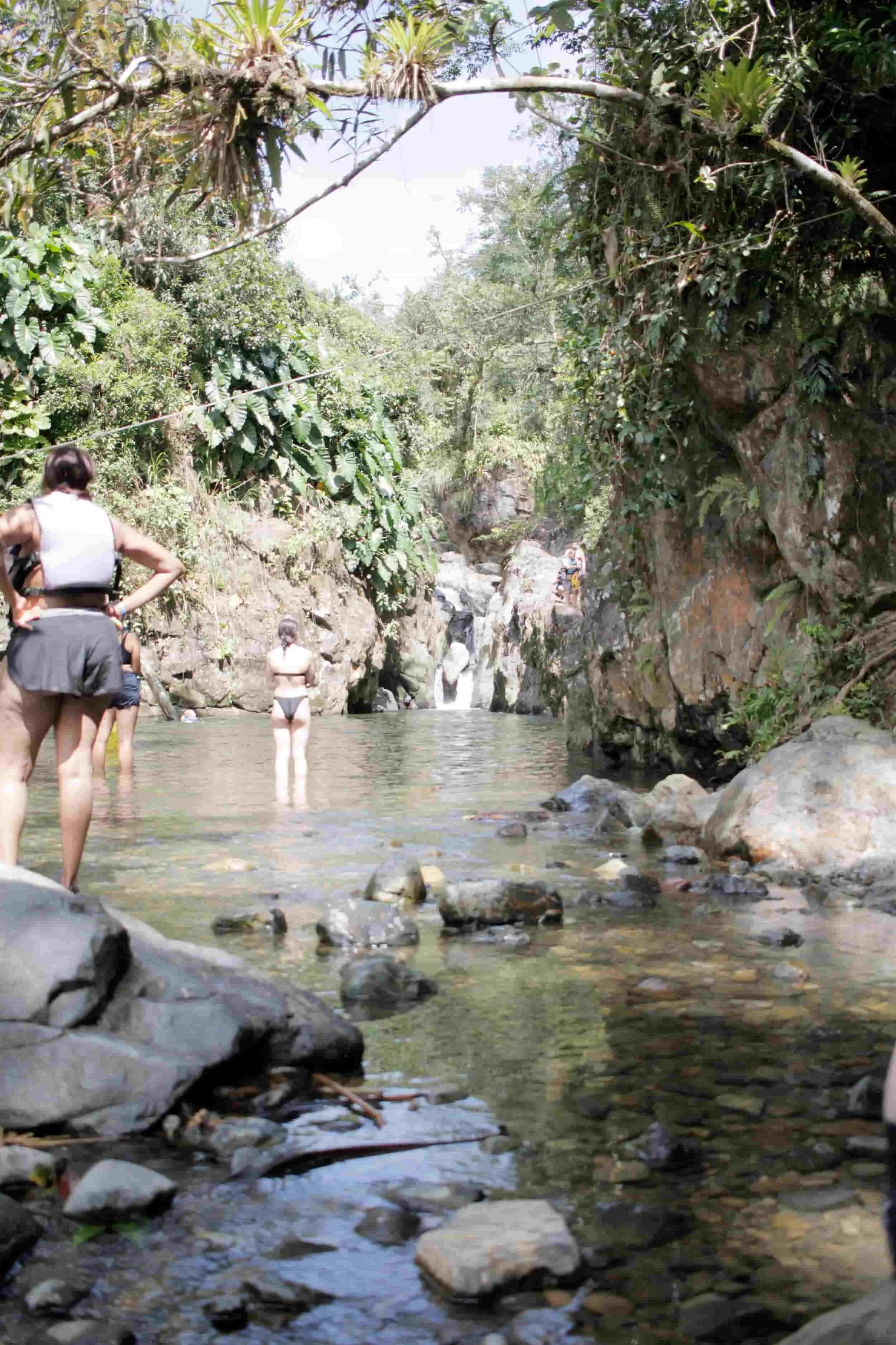 El Yunque National Forest