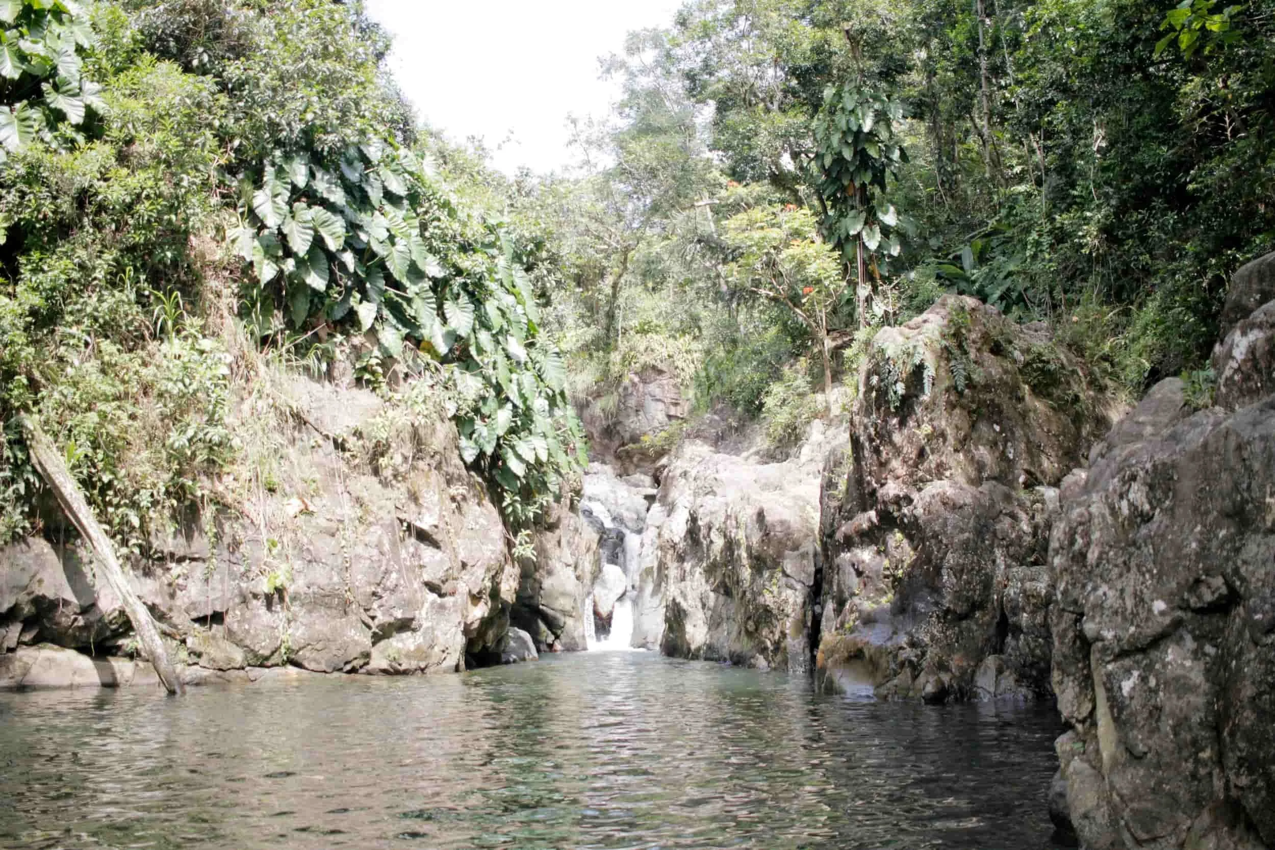 El Yunque National Forest