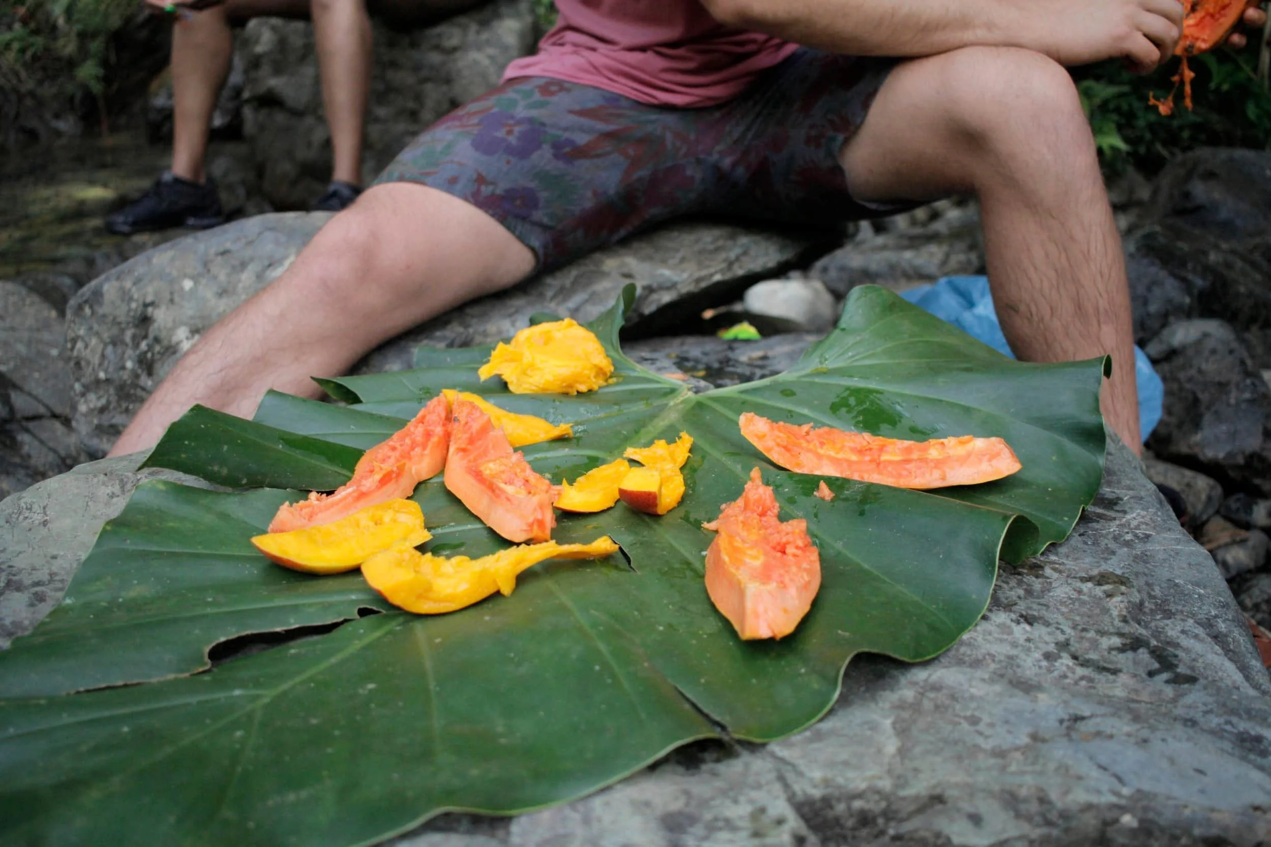 El Yunque National Forest