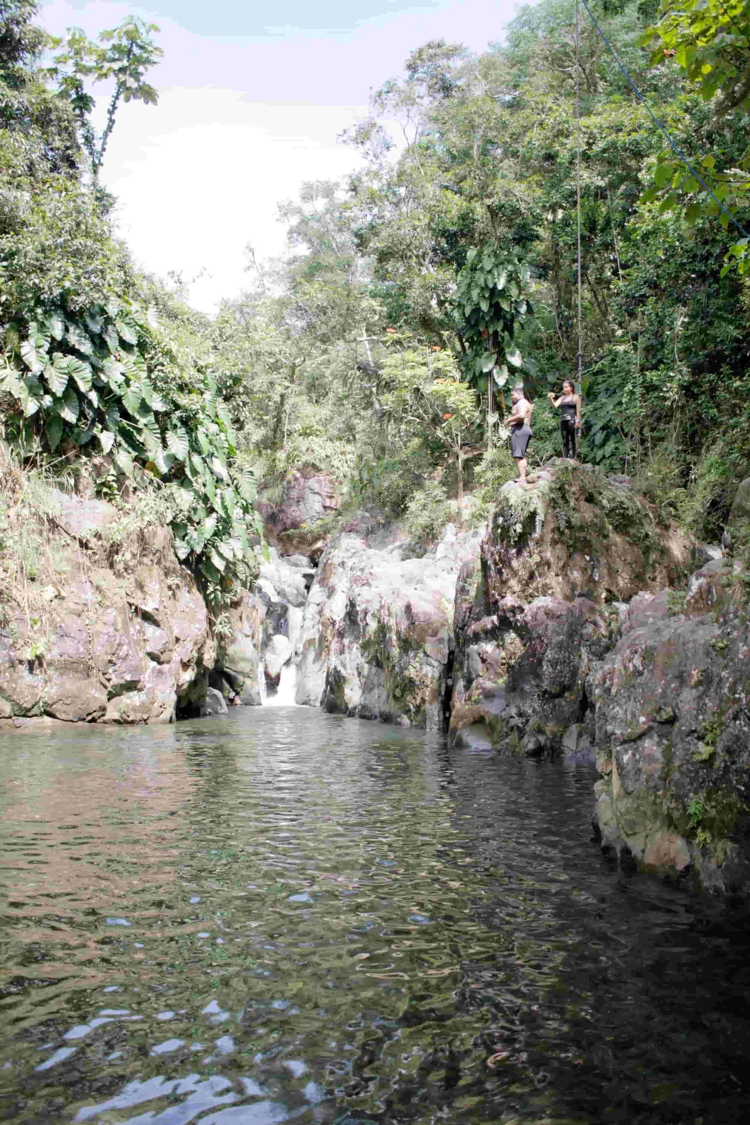 El Yunque National Forest