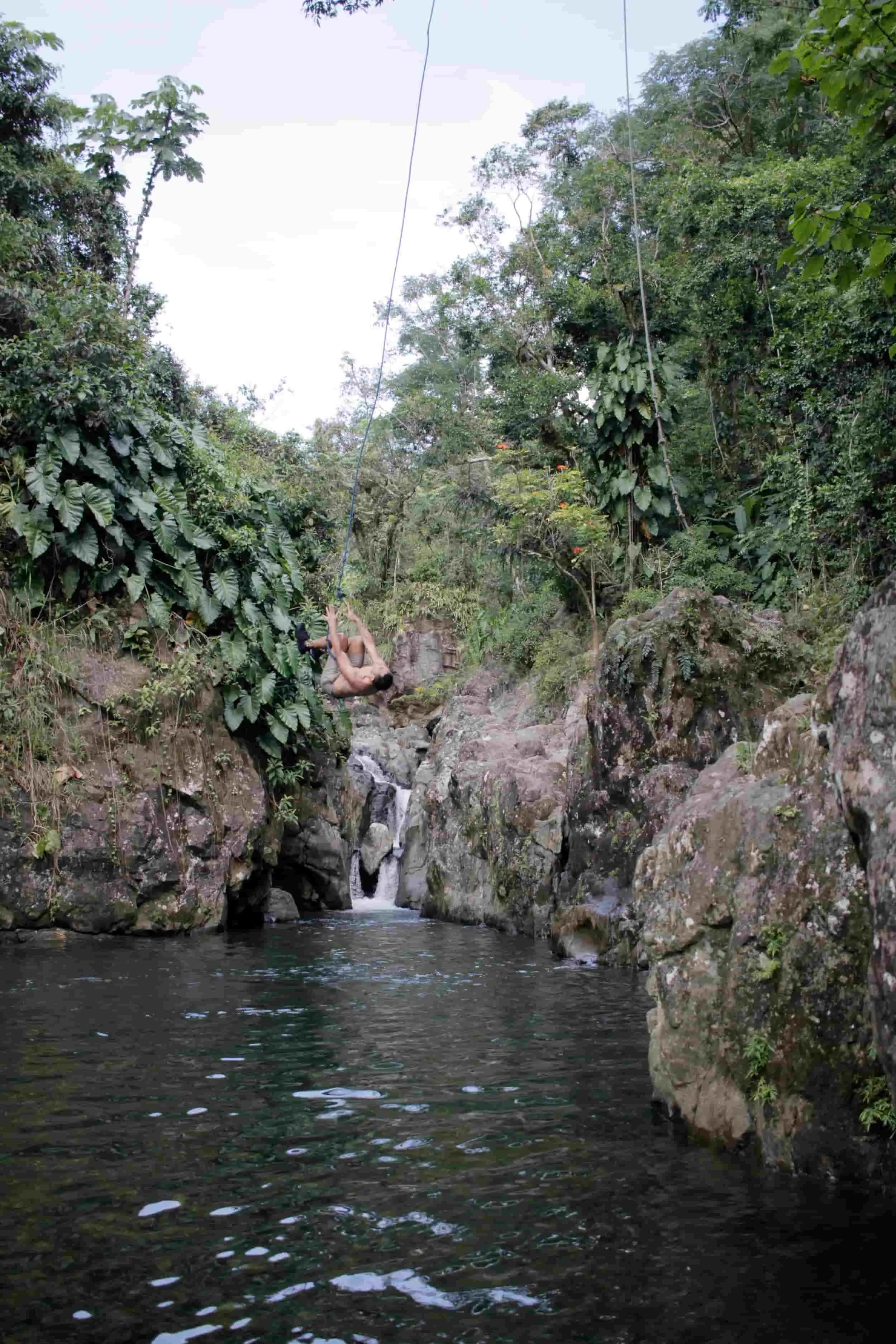 El Yunque National Forest