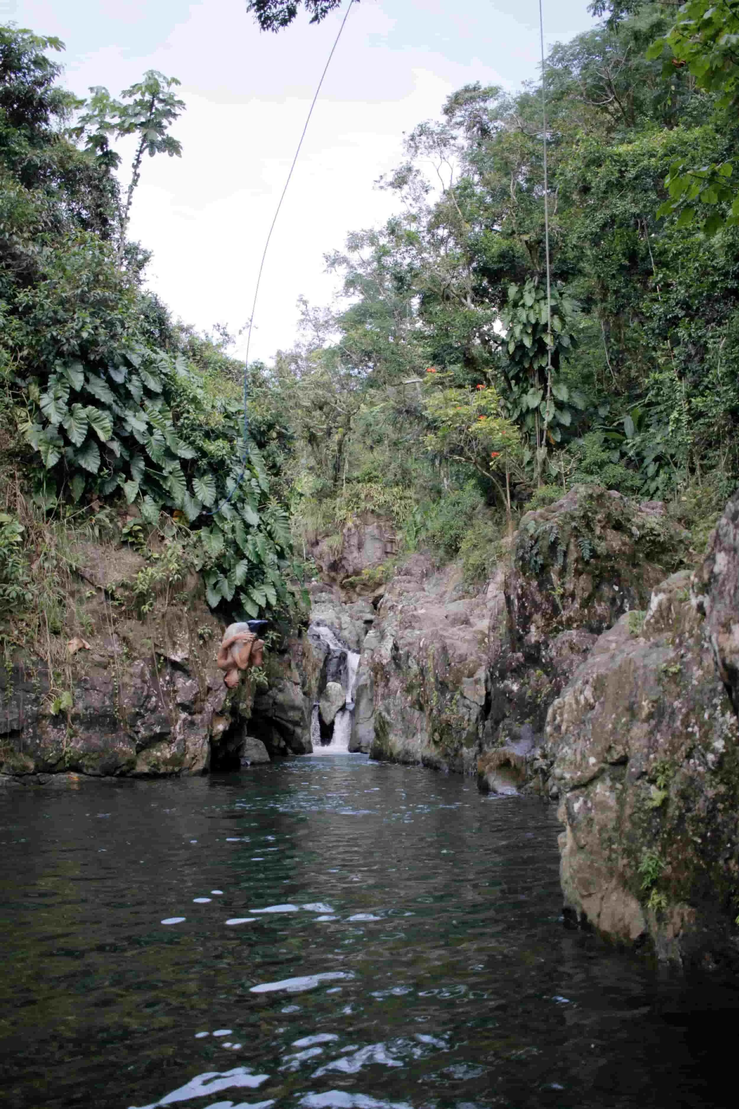 El Yunque National Forest