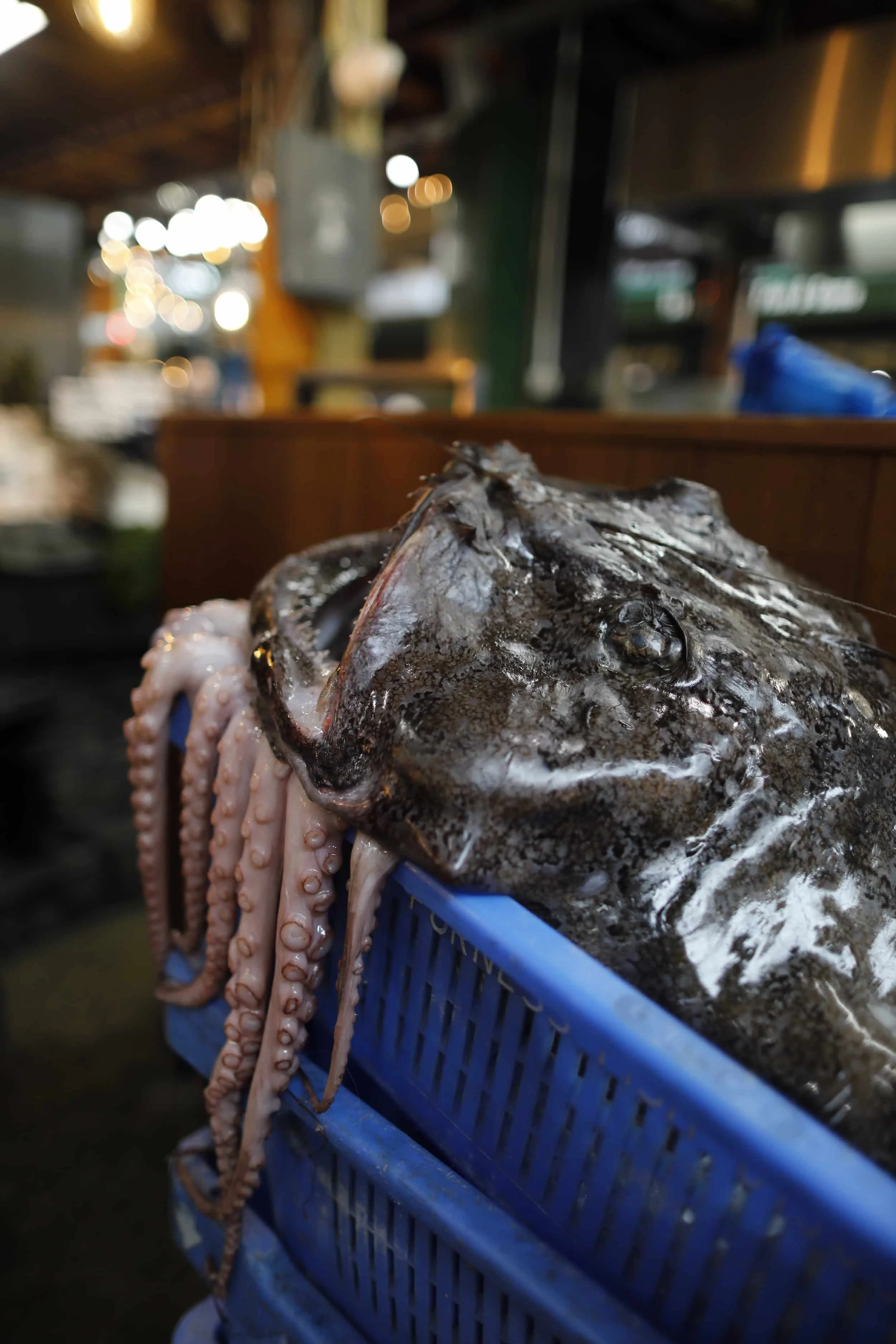 Borough Market in London, Best food market in London