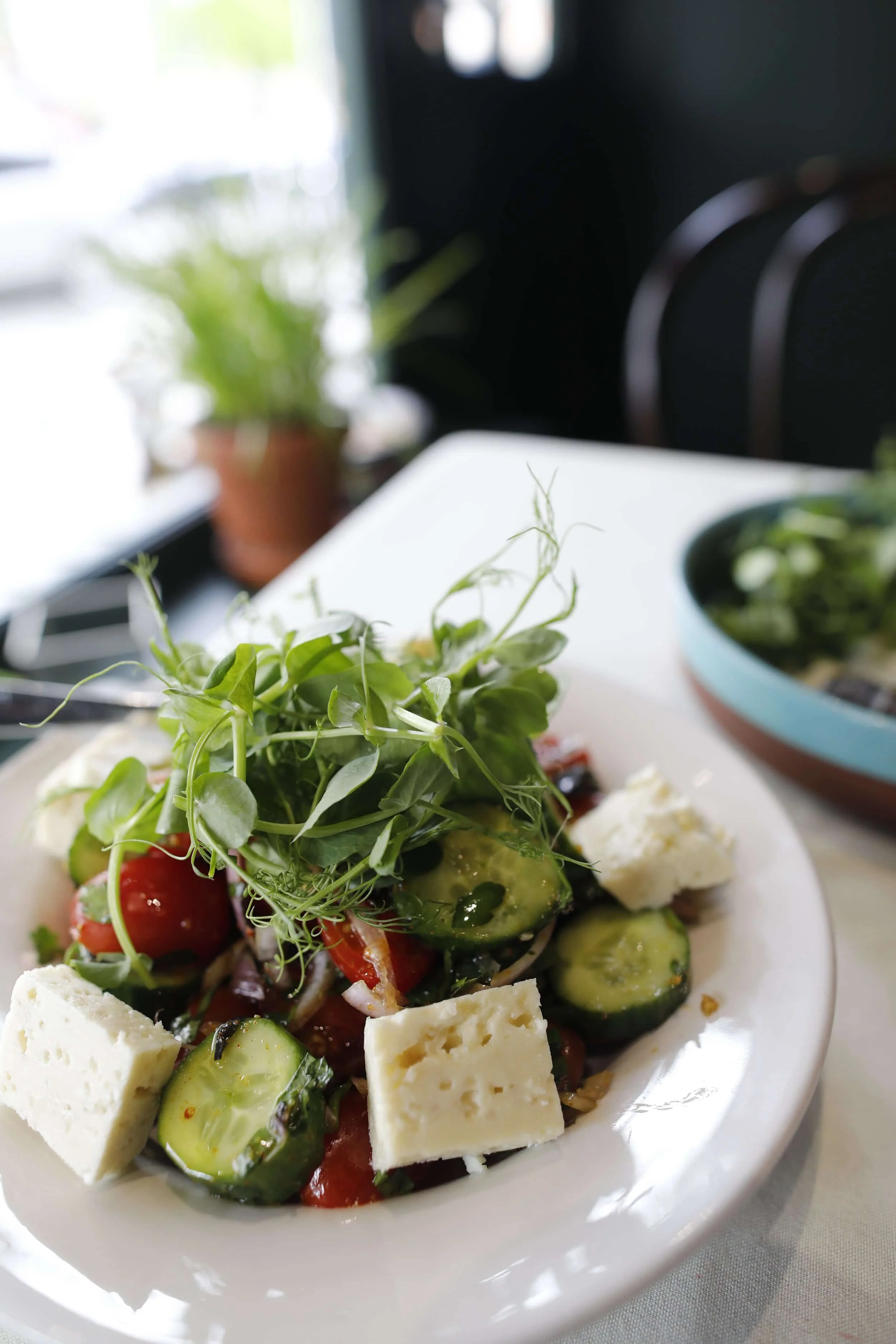 Salad with tomato, cucumber and cheese at Iberia in London